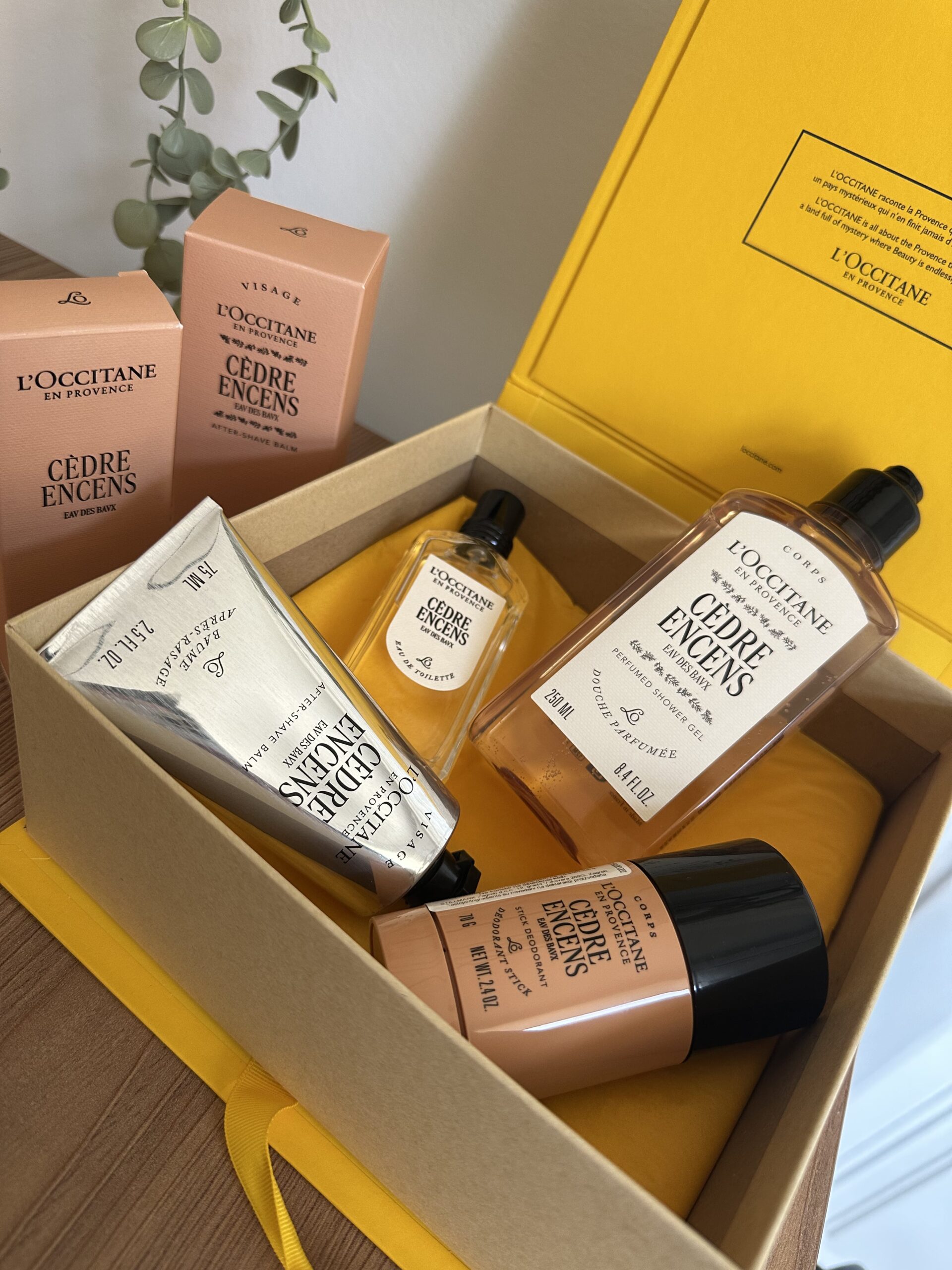 L'Occitane muška kolekcija