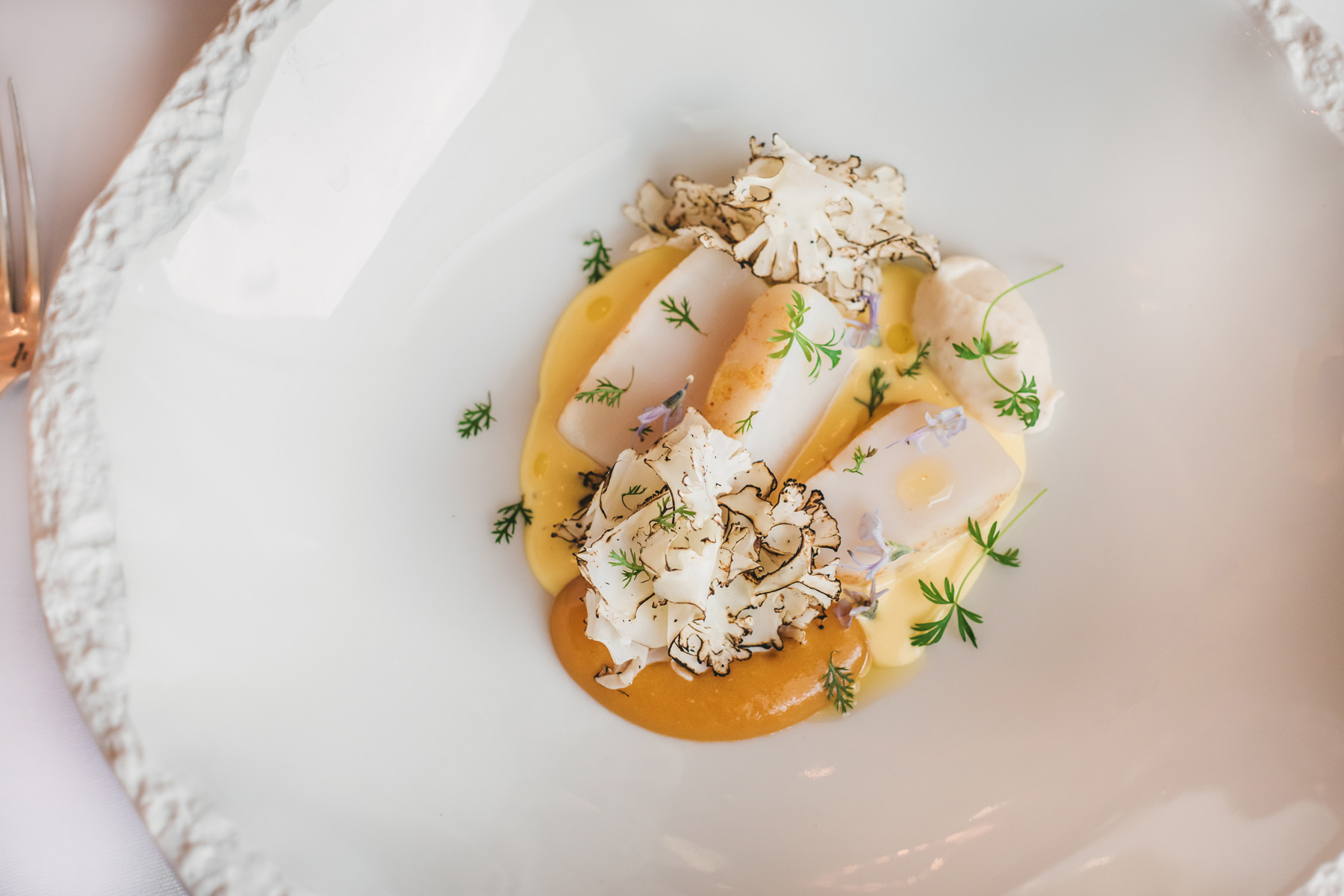 Chefica Ana Grgić Tomić donosi u Zinfandel’s nova autorska jela s karakterom