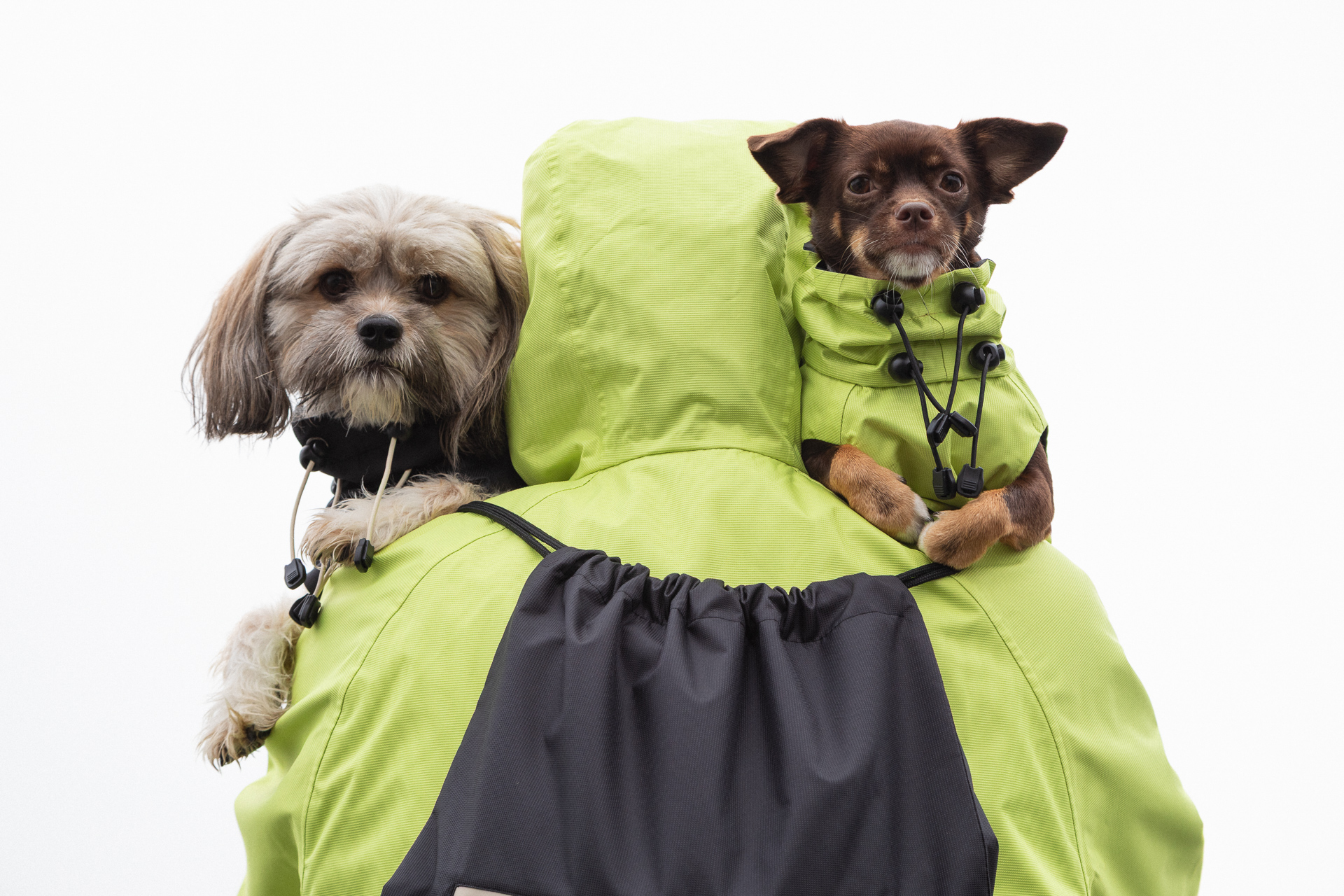 Ana Maria Ricov, Shibesu, Shibesu kolekcija, nova kolekcija Shibesu, matching jakne za pse i vlasnike, matching jakne, kišne jakne za pse, kišne jakne za vlasnike pasa, modna kolekcija za pse, hrvatski dizajn, hrvatski brend, domaći dizajn, modni brend za pse, Ana Maria Ricov dizajnerica, Shibesu nova kolekcija, Shibesu 2025, Shibesu jakne, Shibesu ruksaci, Shibesu park jakna, Shibesu Soft shell, Soft shell jakne, vodonepropusne jakne, vodoodbojne jakne, matching outfit za pse, matching outfit za vlasnike pasa, matching jakne za ljude i pse, jesenska kolekcija, zimska kolekcija, urbana moda, funkcionalna moda, održiva moda, modni dizajn, hrvatska modna scena, hrvatska dizajnerica, modna kampanja, modni brend, modni stil, modni trendovi, psi u modi, modni dodaci za pse, ruksaci za pse, modni ruksaci, matching set za pse i vlasnike, Shibesu limeta, Shibesu crna, vibrantna limeta, crna klasika, kišni stil, jesenska šetnja, zimska šetnja, modni set za kišu, vodonepropusni ruksak, vodootporna jakna, Shibesu showroom Zagreb, Shibesu webshop, Shibesu online shop, Shibesu Instagram, Shibesu Facebook, hrvatski brend za pse, matching moda, matching fashion, dog fashion, dog style, human dog matching, Ana Maria Ricov dizajn, modni dizajn za pse, dizajnerske jakne za pse, luksuzne jakne za pse, stylish psi, lifestyle za pse, urbani lifestyle, ljubav prema psima, šetnja s psom, psi i moda, priroda i moda, hrvatski modni brend, hrvatski dizajn za pse, Shibesu inspiracija, Shibesu kampanja, Doris Fatur fotografija, modna fotografija, Gabriela Alfier, Ivan Oberan, Katerina Skelin, Shiba pas, Shiba Inu, Ankica i Dragec, Pablo pas, Argus pas, Atlas pas, Njoka pas, matching set Shibesu, Shibesu outfiti, Shibesu inspiracija za šetnju, modni detalji za jesen, modni detalji za zimu, održivi materijali, funkcionalni dizajn, elegantna kišna jakna, trendy jakna, modna inspiracija, ljubav između čovjeka i psa.