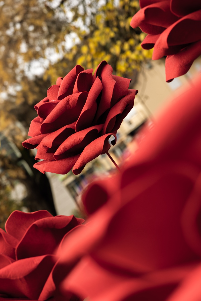 Koliko puta godišnje vidimo ružu kao znak ljubavi? Valentinovo, Dan žena, godišnjica… Ruže su uvijek poruka: „Volim te“, „Oprosti“ ili „Čestitam“. Poklanjamo ih kad želimo nekoga razveseliti, obradovati ili pokazati pažnju. Ali što se događa između tih datuma, u trenucima koji nisu ni praznik ni slavlje? Što znači kada ruže niču same, na ulici, kao podsjetnik na nešto što nije lijepo, što boli i uništava živote? Na Trgu Ksavera Sandora Gjalskog 4 u Zaboku postavljeno je deset ruža, kao simbol na deset ubijenih žena u Hrvatskoj 2025. godine. Svaka ruža podsjeća da nasilje ne počinje šamarom, već riječima koje vrijeđaju, kontrolom, ucjenom i ignoriranjem. Počinje onda kada se netko osjeti manjim, neslobodnim i uplašenim. Kampanjom „Ružе su crvene, ljubav nije plava“, CESI – Centar za edukaciju, savjetovanje i istraživanje u Krapinsko-zagorskoj županiji, želi potaknuti razgovor o zdravim odnosima, osvijestiti oblike nasilja koji često ostaju neprepoznati te potaknuti žene na traženje podrške, ali i zajednicu da reagira ako primijeti nasilje“, izjavila je Vendi Keserica Tomičić, stručna suradnica Centra za edukaciju, savjetovanje i istraživanje. Zabrinjavajuće stanje Svaka četvrta žena u Hrvatskoj doživjela je neki oblik nasilja od strane partnera ili muškog člana obitelji. Svakih 15 minuta jedna žena doživi nasilje. Mnoge žrtve i dalje ne znaju prepoznati oblike nasilja kojima su izložene, kao ni važnost i dugoročnost posljedica kontinuiranog nasilja. Nasilje opravdavaju i povezuju s drugim društvenim i ponašajnim obrascima, koji su vrlo često društveno prihvatljivi. Nasilje u vezi ne počinje udarcem, ono počinje polako i gotovo neprimjetno kroz kontrolu, ljubomoru, potkopavanje samopouzdanja, manipulaciju i izolaciju žrtve od prijatelja i obitelji. U društvu koje žene često uči da šute i trpe, mnoge žene nikada ne nauče što je zdrava ljubav, kako prepoznati obrasce nasilja ili razlikovati ljubav od manipulacije. Umjetnost kao glas protiv nasilja Poseban doprinos kampanji dale su umjetnice koje svojim radom potiču društvene promjene. Akademska kiparica Adela Mesić izradila je deset ruža, svaka simbolizira sjećanje i nadu, a koje će biti postavljena na glavnom trgu u Zaboku, a potom i u Krapini između 3. studenoga i 10. prosinca, u razdoblju obilježavanja međunarodnih dana posvećenih borbi protiv nasilja nad ženama i promicanju ljudskih prava. Ilustratorica Hana Tintor autorica je vizualnog identiteta kampanje, kaveza od ruža, simbola ljepote koji skriva opasnost i upozorava da se iza prividne nježnosti može kriti kontrola i manipulacija. O Centru za edukaciju, savjetovanje i istraživanje CESI – Centar za edukaciju, savjetovanje i istraživanje djeluje od 1997. godine s ciljem promicanja rodne ravnopravnosti i zaštite ženskih prava. CESI u Krapinsko–zagorskoj županiji pruža besplatnu pravnu i psihološku podršku ženama žrtvama nasilja kroz SOS telefon i savjetovalište, osiguravajući siguran prostor, stručnost, povjerljivost i razumijevanje. Od svojih početaka, CESI je pomogao mnogim ženama prekinuti krug nasilja i započeti novi život. Više o kampanji saznajte na ljubavnijeplava.com.hr ili na CESI Instagram i TikTok profilu.