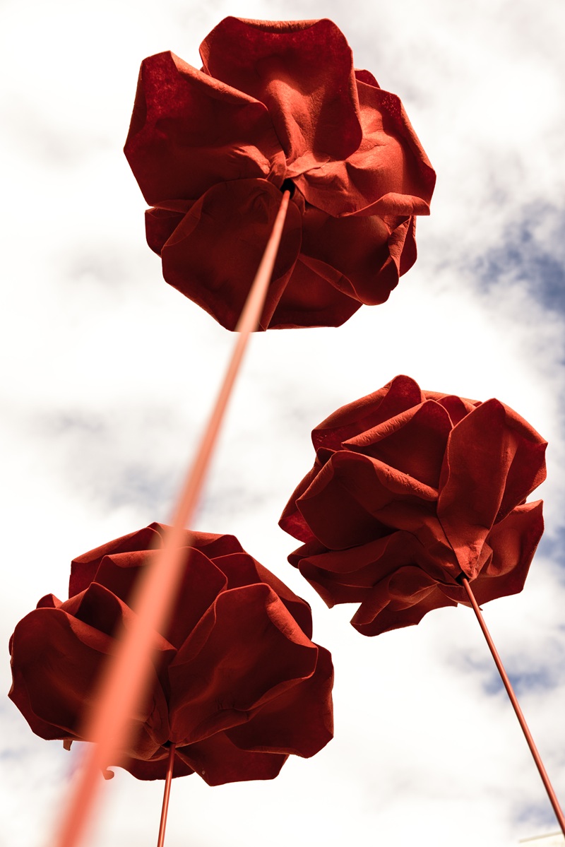 Koliko puta godišnje vidimo ružu kao znak ljubavi? Valentinovo, Dan žena, godišnjica… Ruže su uvijek poruka: „Volim te“, „Oprosti“ ili „Čestitam“. Poklanjamo ih kad želimo nekoga razveseliti, obradovati ili pokazati pažnju. Ali što se događa između tih datuma, u trenucima koji nisu ni praznik ni slavlje? Što znači kada ruže niču same, na ulici, kao podsjetnik na nešto što nije lijepo, što boli i uništava živote? Na Trgu Ksavera Sandora Gjalskog 4 u Zaboku postavljeno je deset ruža, kao simbol na deset ubijenih žena u Hrvatskoj 2025. godine. Svaka ruža podsjeća da nasilje ne počinje šamarom, već riječima koje vrijeđaju, kontrolom, ucjenom i ignoriranjem. Počinje onda kada se netko osjeti manjim, neslobodnim i uplašenim. Kampanjom „Ružе su crvene, ljubav nije plava“, CESI – Centar za edukaciju, savjetovanje i istraživanje u Krapinsko-zagorskoj županiji, želi potaknuti razgovor o zdravim odnosima, osvijestiti oblike nasilja koji često ostaju neprepoznati te potaknuti žene na traženje podrške, ali i zajednicu da reagira ako primijeti nasilje“, izjavila je Vendi Keserica Tomičić, stručna suradnica Centra za edukaciju, savjetovanje i istraživanje. Zabrinjavajuće stanje Svaka četvrta žena u Hrvatskoj doživjela je neki oblik nasilja od strane partnera ili muškog člana obitelji. Svakih 15 minuta jedna žena doživi nasilje. Mnoge žrtve i dalje ne znaju prepoznati oblike nasilja kojima su izložene, kao ni važnost i dugoročnost posljedica kontinuiranog nasilja. Nasilje opravdavaju i povezuju s drugim društvenim i ponašajnim obrascima, koji su vrlo često društveno prihvatljivi. Nasilje u vezi ne počinje udarcem, ono počinje polako i gotovo neprimjetno kroz kontrolu, ljubomoru, potkopavanje samopouzdanja, manipulaciju i izolaciju žrtve od prijatelja i obitelji. U društvu koje žene često uči da šute i trpe, mnoge žene nikada ne nauče što je zdrava ljubav, kako prepoznati obrasce nasilja ili razlikovati ljubav od manipulacije. Umjetnost kao glas protiv nasilja Poseban doprinos kampanji dale su umjetnice koje svojim radom potiču društvene promjene. Akademska kiparica Adela Mesić izradila je deset ruža, svaka simbolizira sjećanje i nadu, a koje će biti postavljena na glavnom trgu u Zaboku, a potom i u Krapini između 3. studenoga i 10. prosinca, u razdoblju obilježavanja međunarodnih dana posvećenih borbi protiv nasilja nad ženama i promicanju ljudskih prava. Ilustratorica Hana Tintor autorica je vizualnog identiteta kampanje, kaveza od ruža, simbola ljepote koji skriva opasnost i upozorava da se iza prividne nježnosti može kriti kontrola i manipulacija. O Centru za edukaciju, savjetovanje i istraživanje CESI – Centar za edukaciju, savjetovanje i istraživanje djeluje od 1997. godine s ciljem promicanja rodne ravnopravnosti i zaštite ženskih prava. CESI u Krapinsko–zagorskoj županiji pruža besplatnu pravnu i psihološku podršku ženama žrtvama nasilja kroz SOS telefon i savjetovalište, osiguravajući siguran prostor, stručnost, povjerljivost i razumijevanje. Od svojih početaka, CESI je pomogao mnogim ženama prekinuti krug nasilja i započeti novi život. Više o kampanji saznajte na ljubavnijeplava.com.hr ili na CESI Instagram i TikTok profilu.