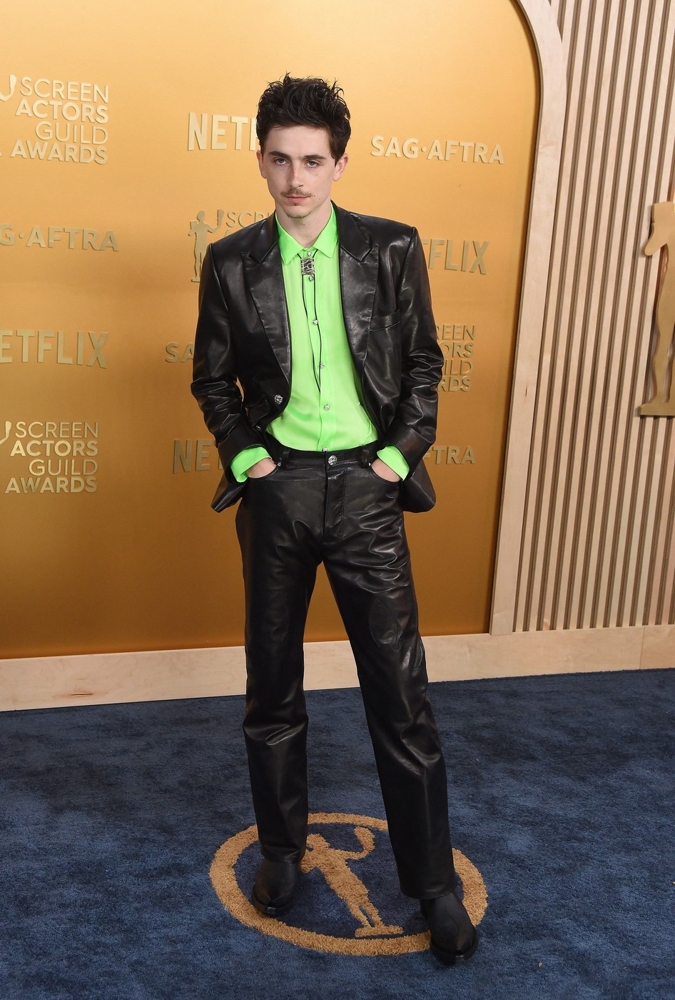 Timothée Chalamet oOscarima Hello Magazin Croatia Hrvatska