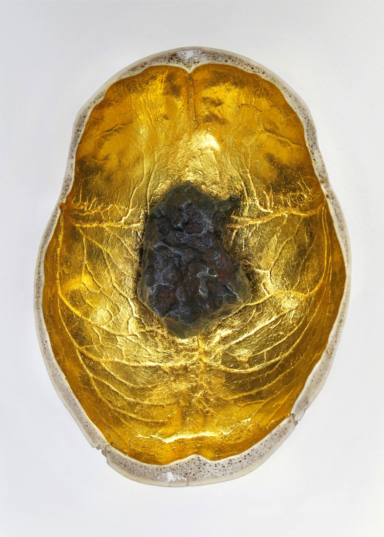 Umjetnički paviljon predstavlja izložbu Dorothy Cross: Kinship / Srodstvo 