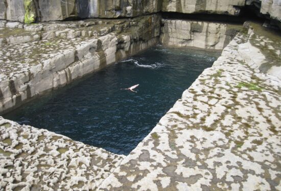 Umjetnički paviljon predstavlja izložbu Dorothy Cross: Kinship / Srodstvo