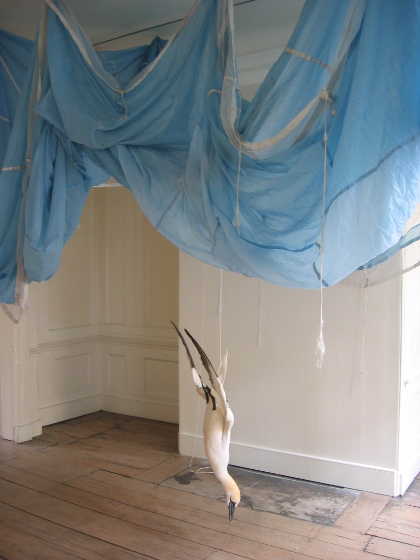 Umjetnički paviljon predstavlja izložbu Dorothy Cross: Kinship / Srodstvo 