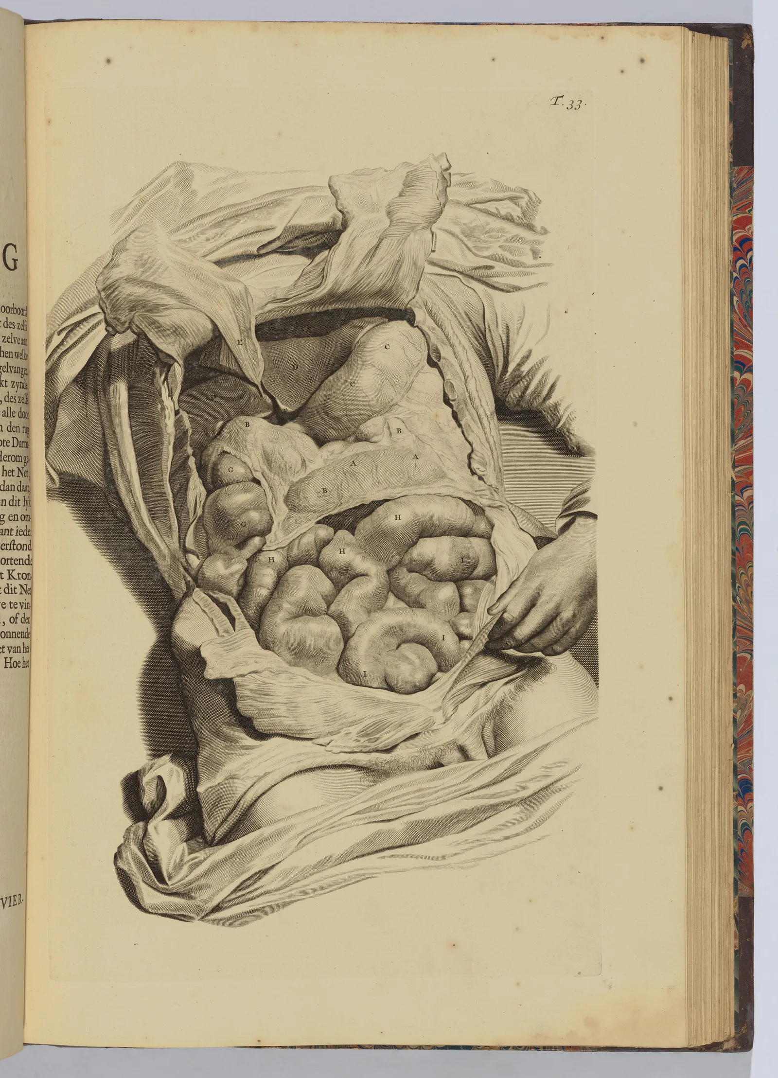 met-gala-2026-tema-costume-art