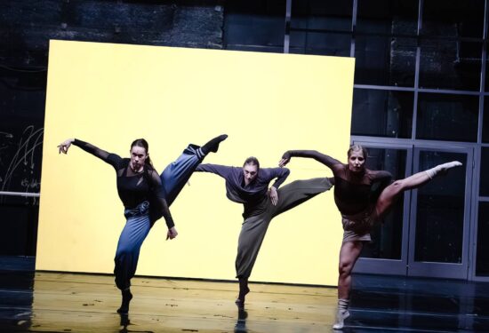 ACID/KISELINA TENE ŠTIVIČIĆ U REŽIJI ANTANASA OBCARSKASA, NOVA PREMIJERA ZAGREBAČKOG KAZALIŠTA MLADIH