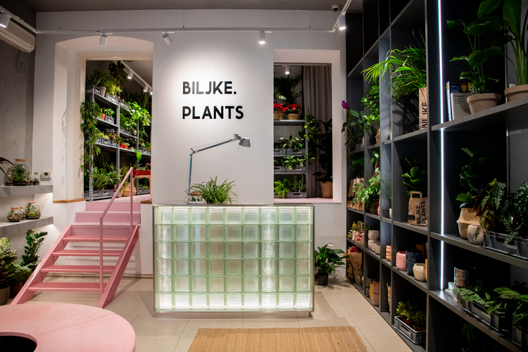 Biljke.Plants otvorile zeleni concept store Hello Magazin Croatia Hrvatska