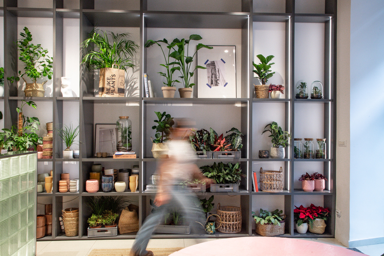 Biljke.Plants otvorile zeleni concept store Hello Magazin Croatia Hrvatska