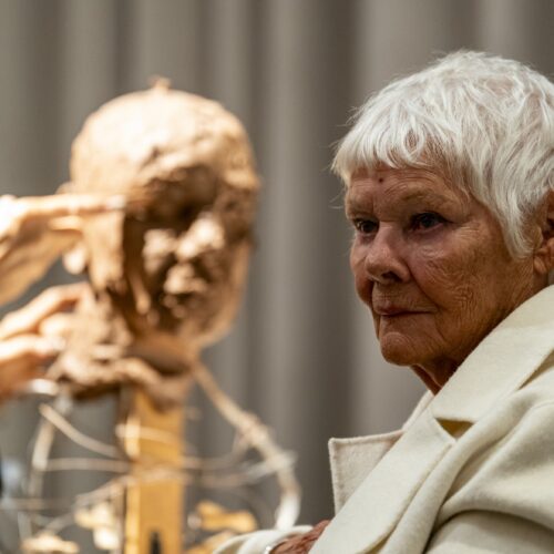 Judi Dench šokirala javnost