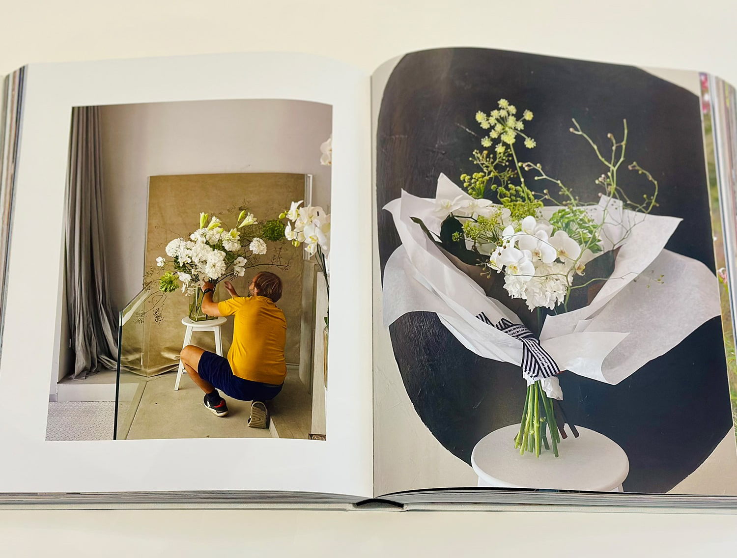 Otkrijte luksuz doma u Splitu: Merla pop-up i ekskluzivna knjiga Saše Šekoranje!