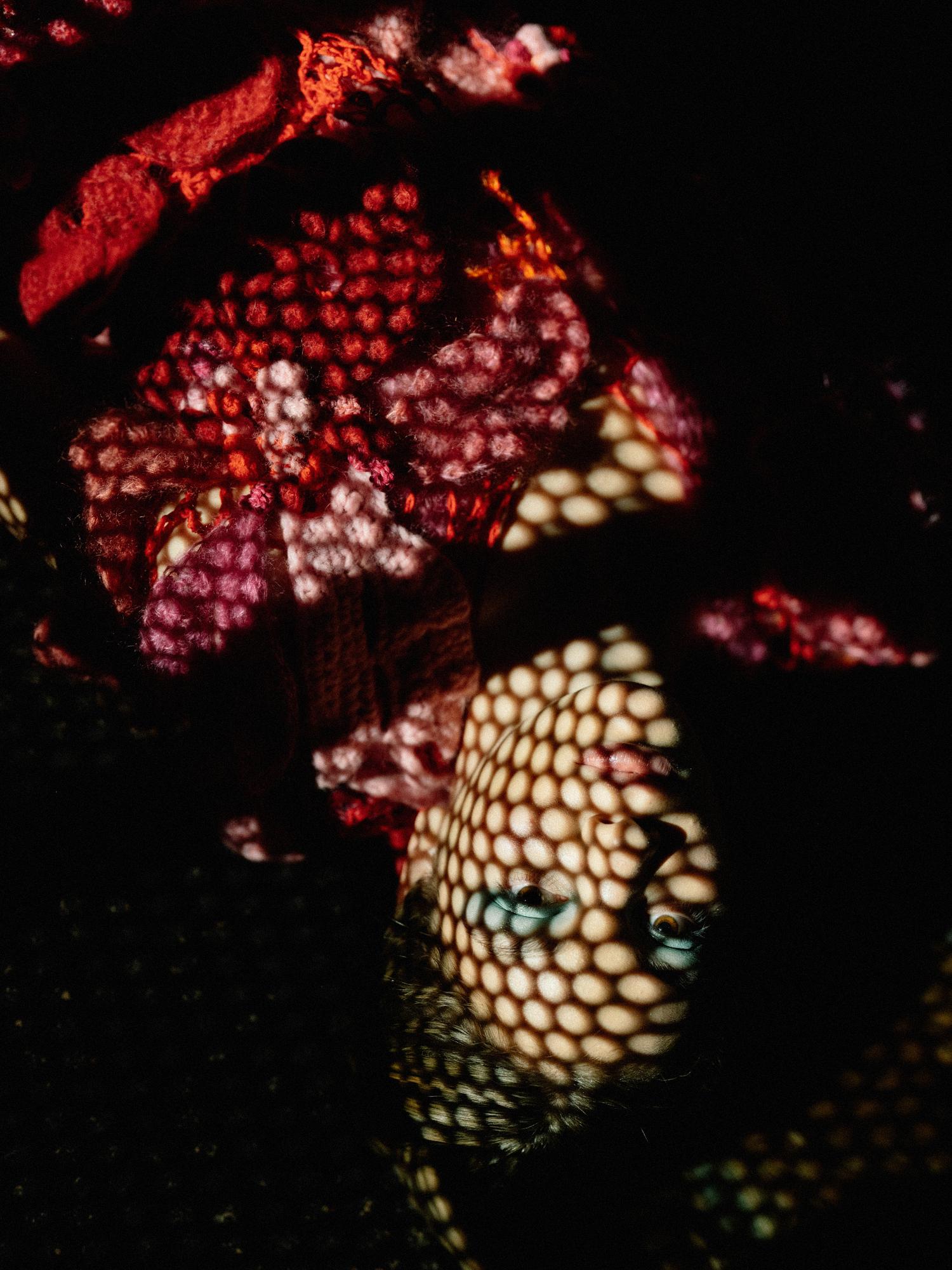 Poetska novogodišnja modna čestitka Nataše Mihaljčišin