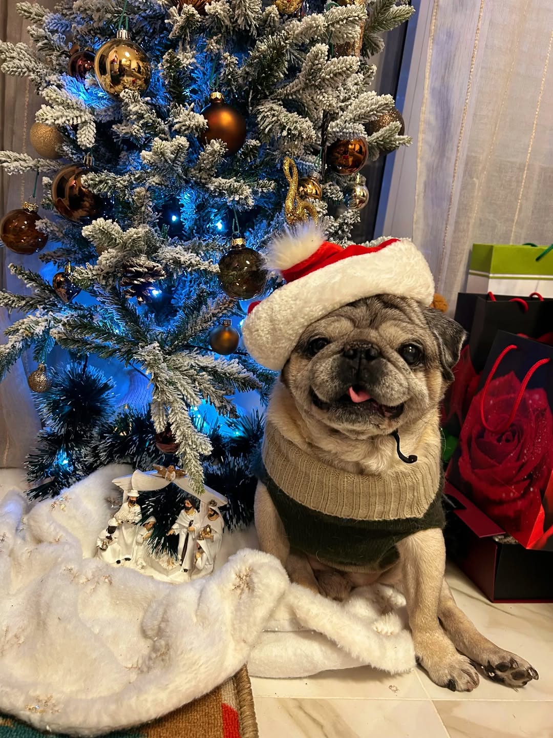 Andrea Šušnjara se slomila od tuge