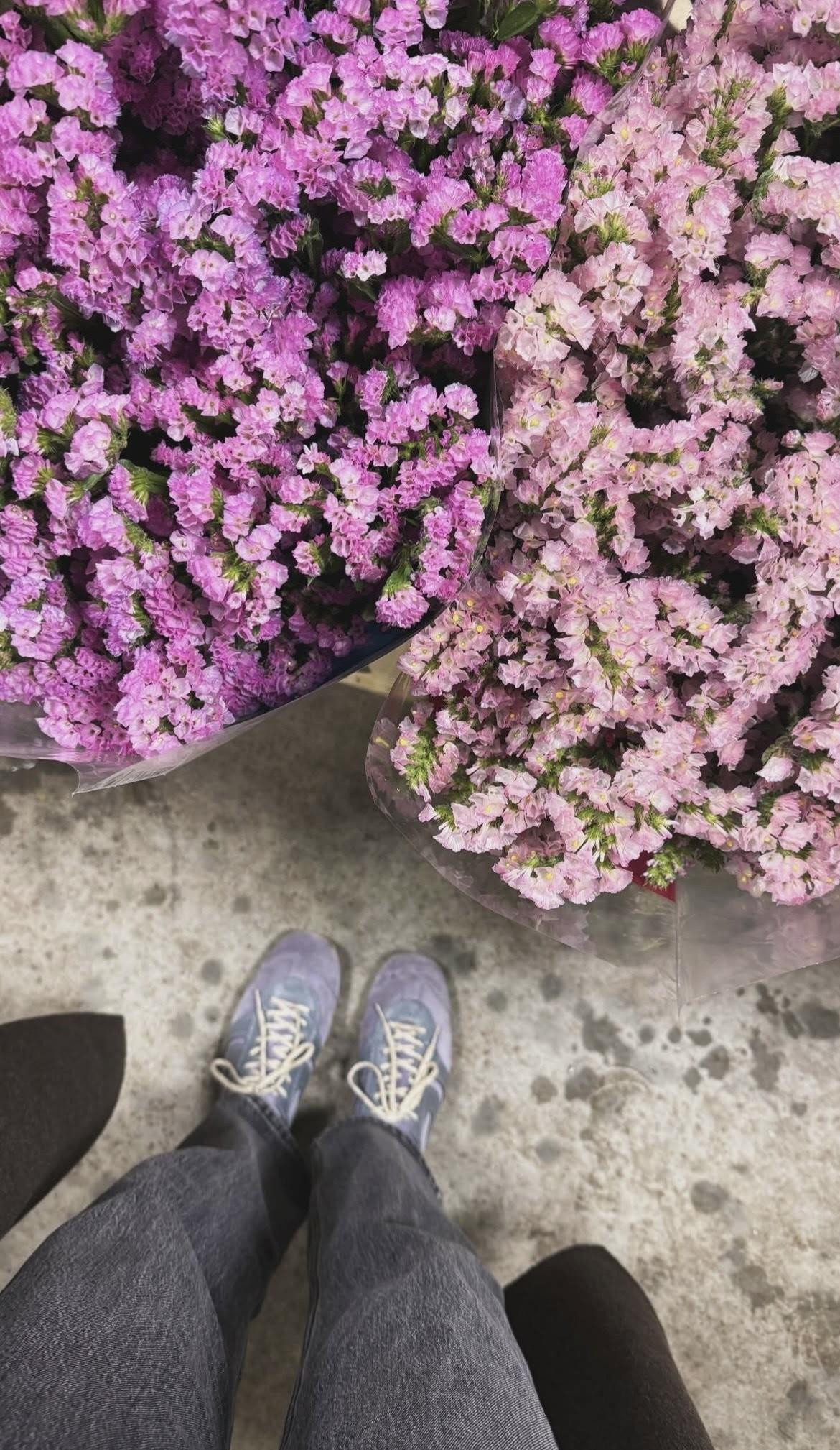 LJUPKA GOJIC MIKIC TENISISCE HELLO MAGZAIN CROATIA HRVATSKA