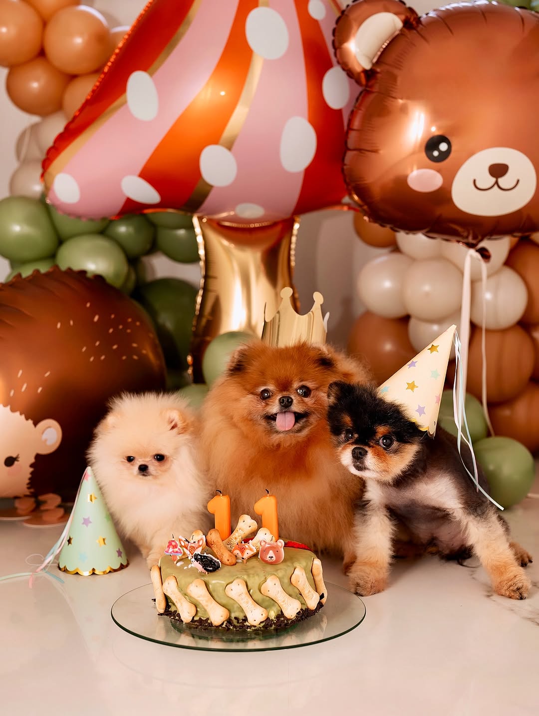 Marko Grubnić Casper slavlje Hello Magazin Croatia Hrvatska