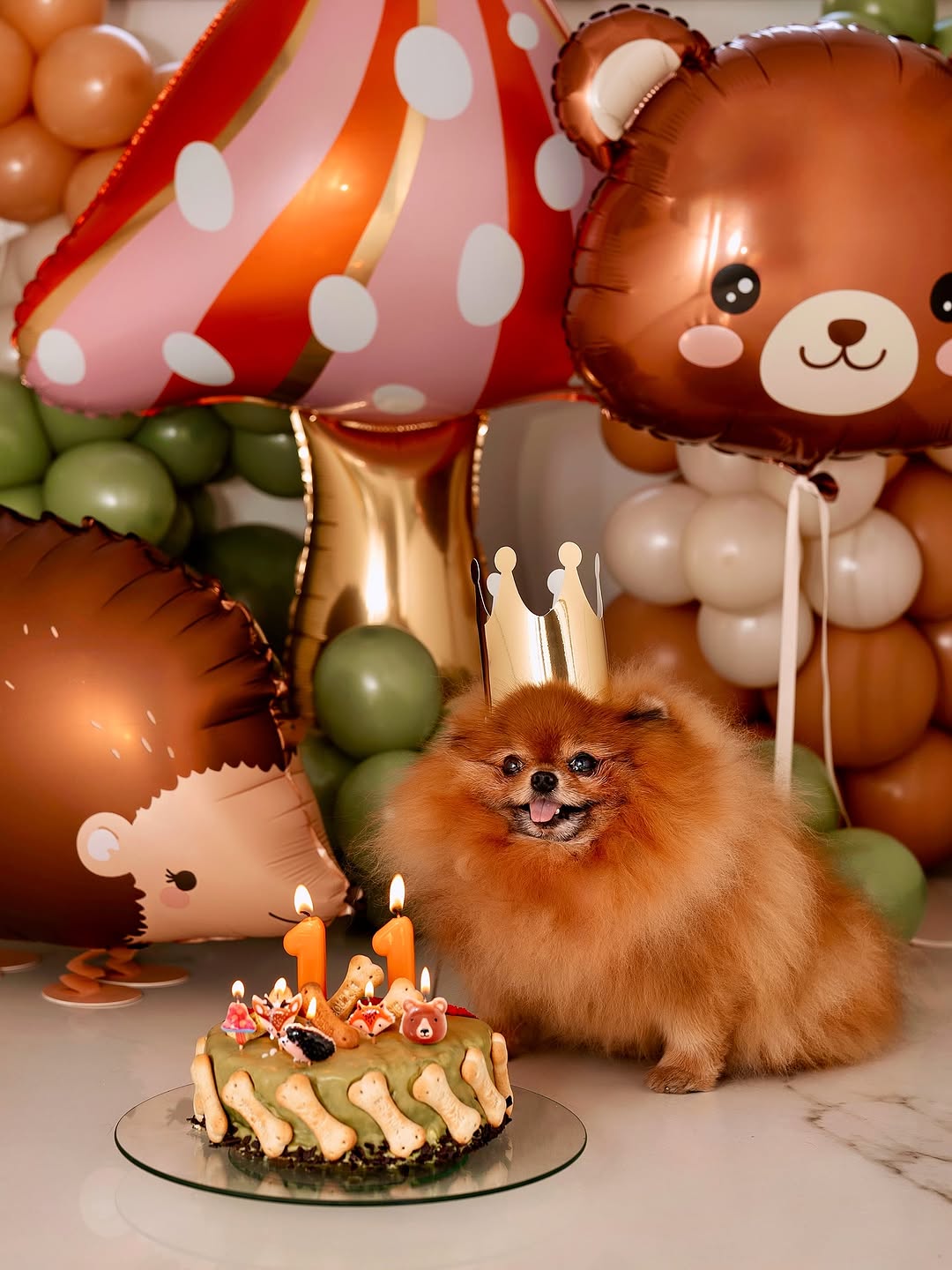 Marko Grubnić Casper slavlje Hello Magazin Croatia Hrvatska