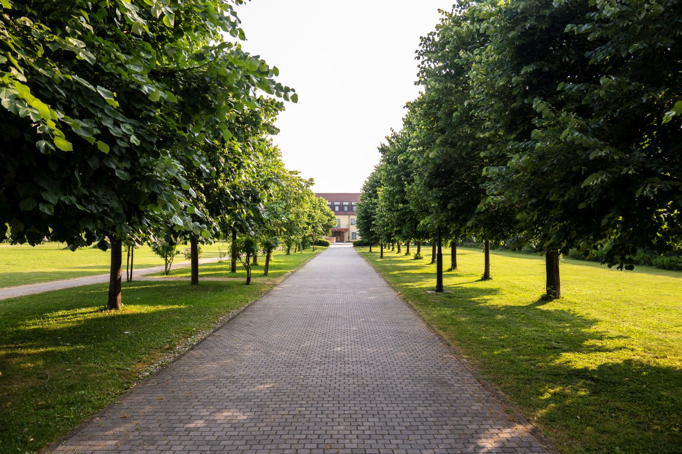Tomislav Goleš Babić: 'U naš dvorac dolaze najveće svjetske zvijezde i gosti iz cijelog svijeta'
