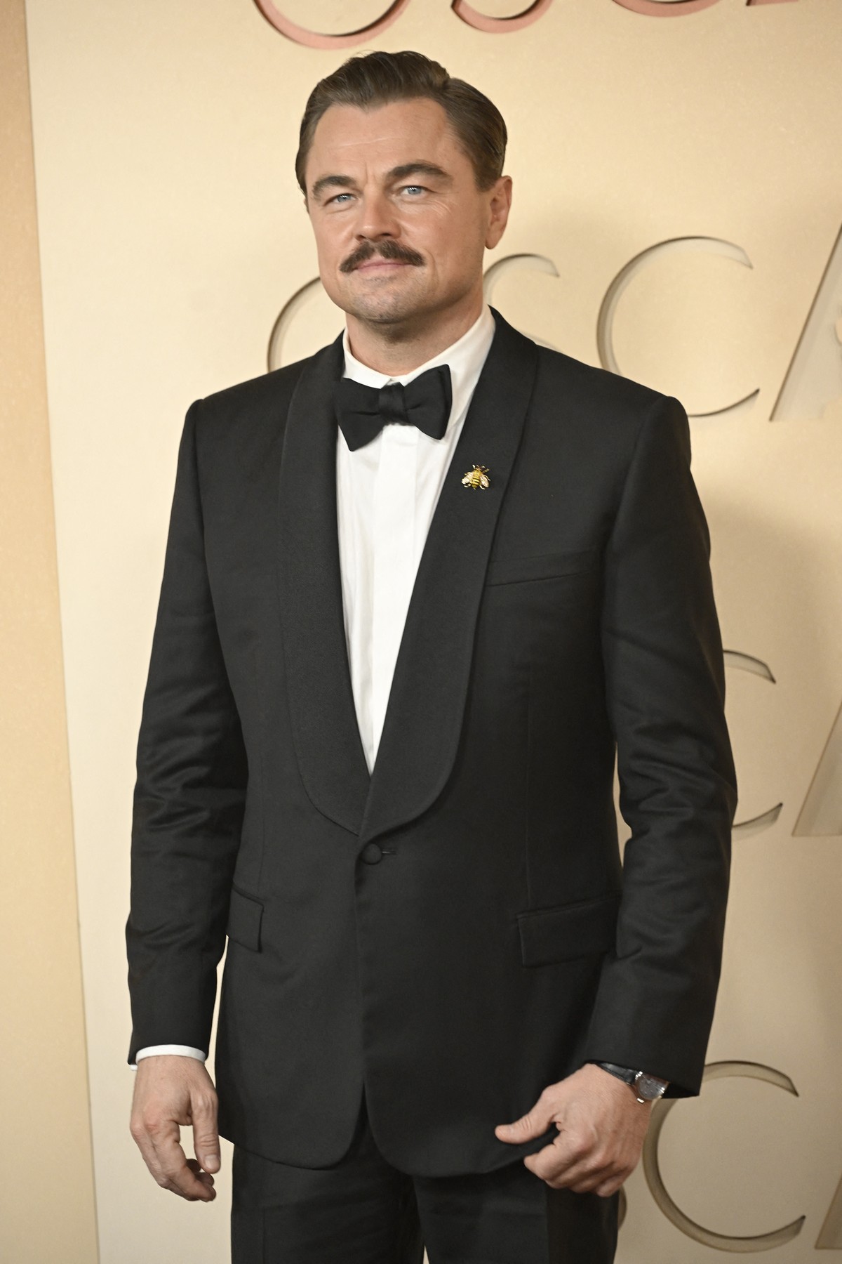 LEOANRDO DICAPRIO BRKOVI