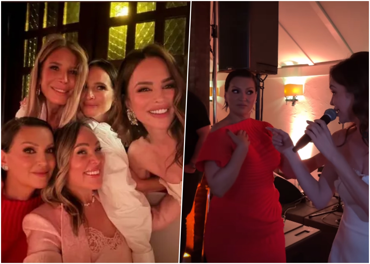 severina nina badrić