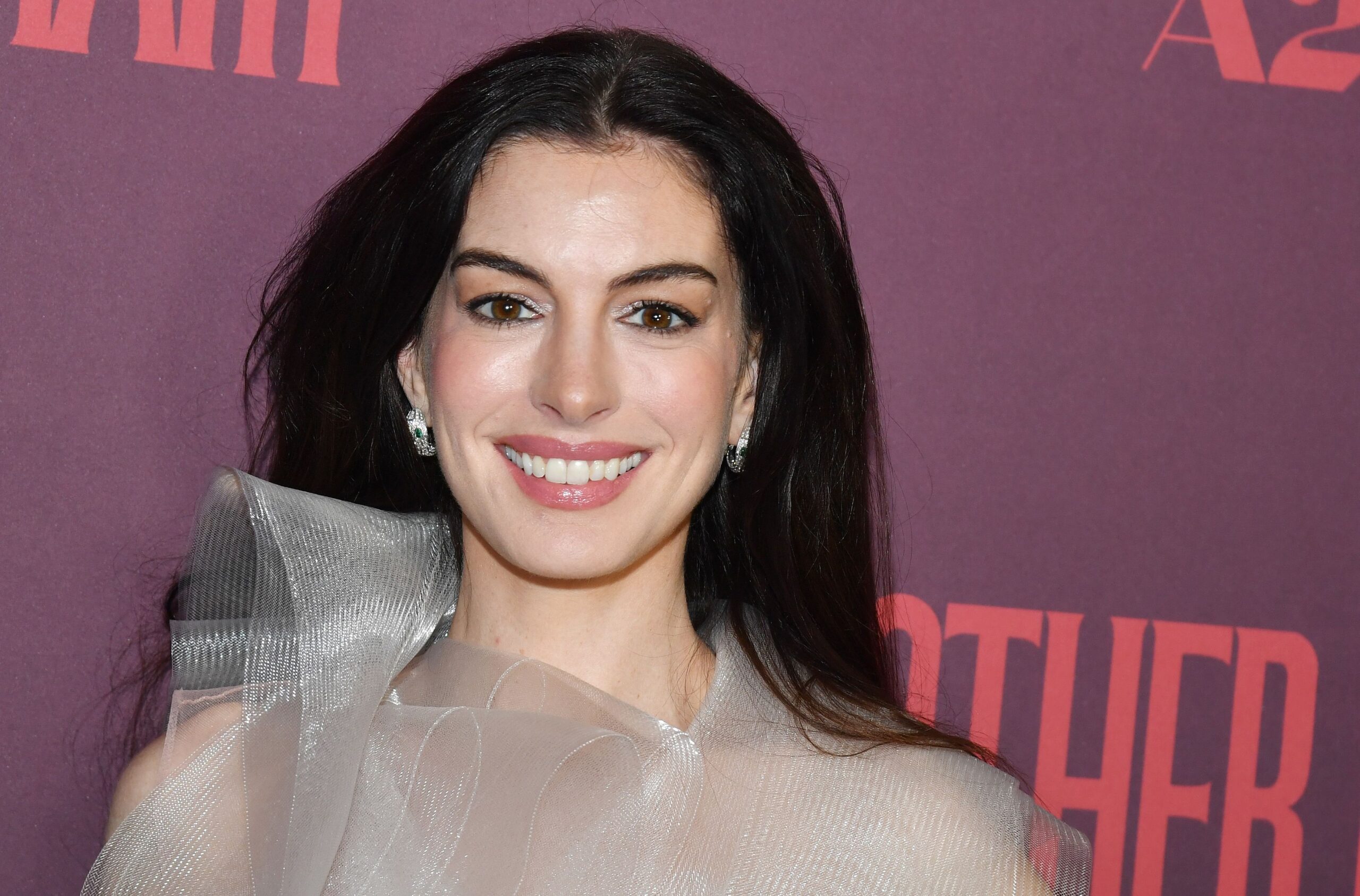 Anne Hathaway u prozirnoj haljini