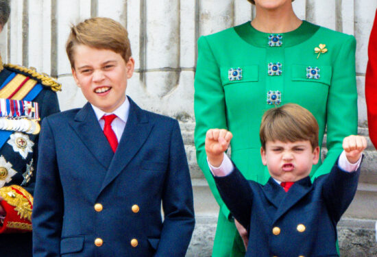 Princ Louis proslavio 8. rođendan