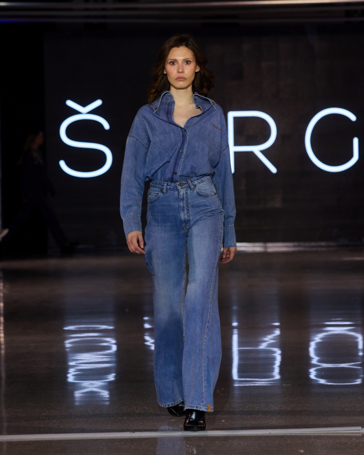 sargi projekt moderna