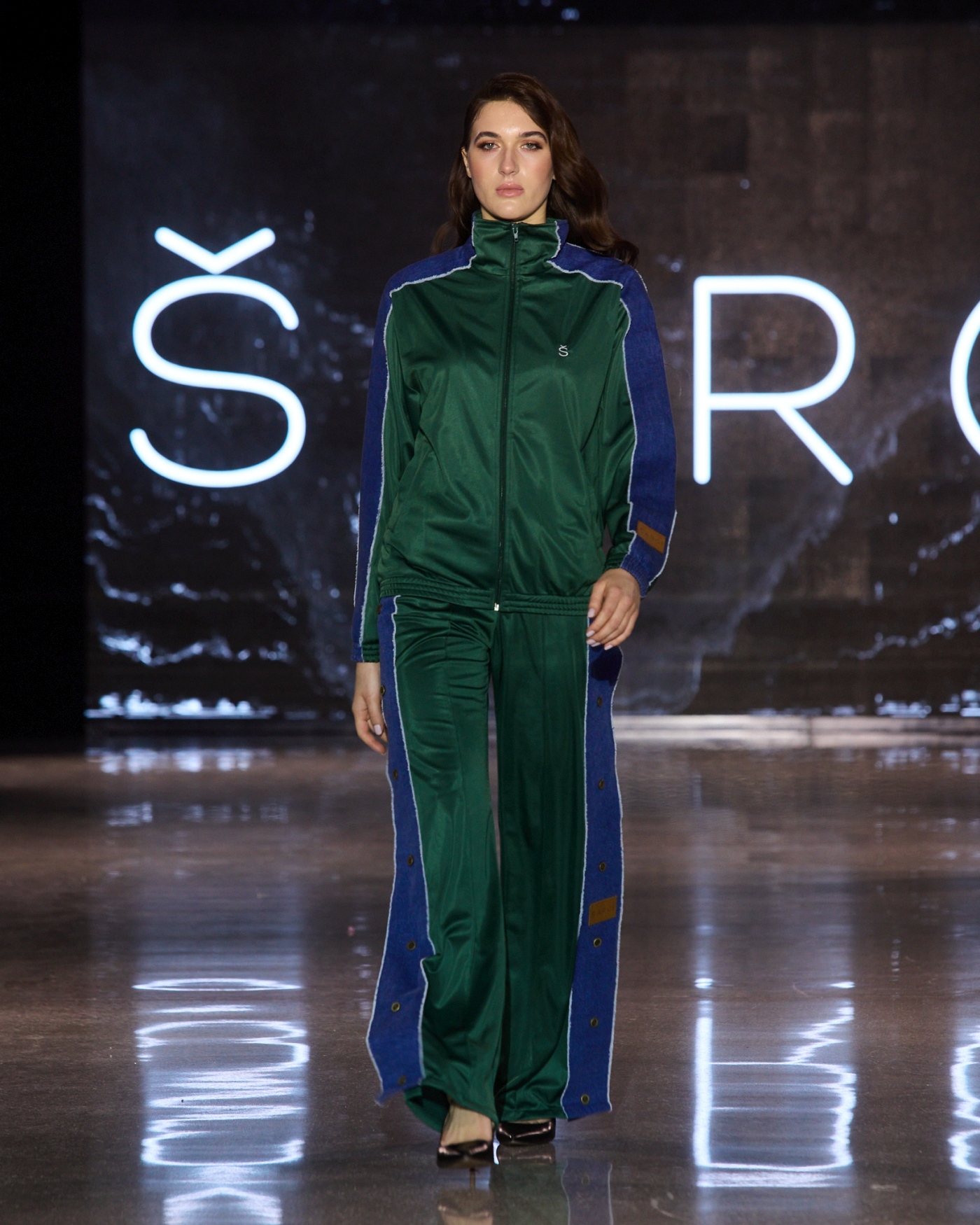 sargi projekt moderna