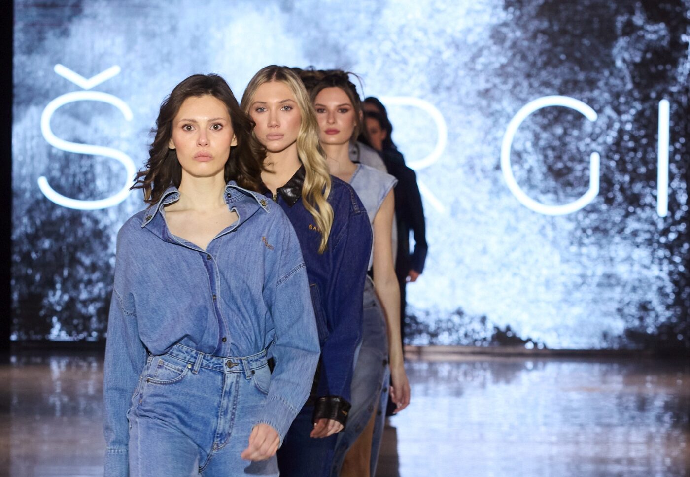 sargi projekt moderna