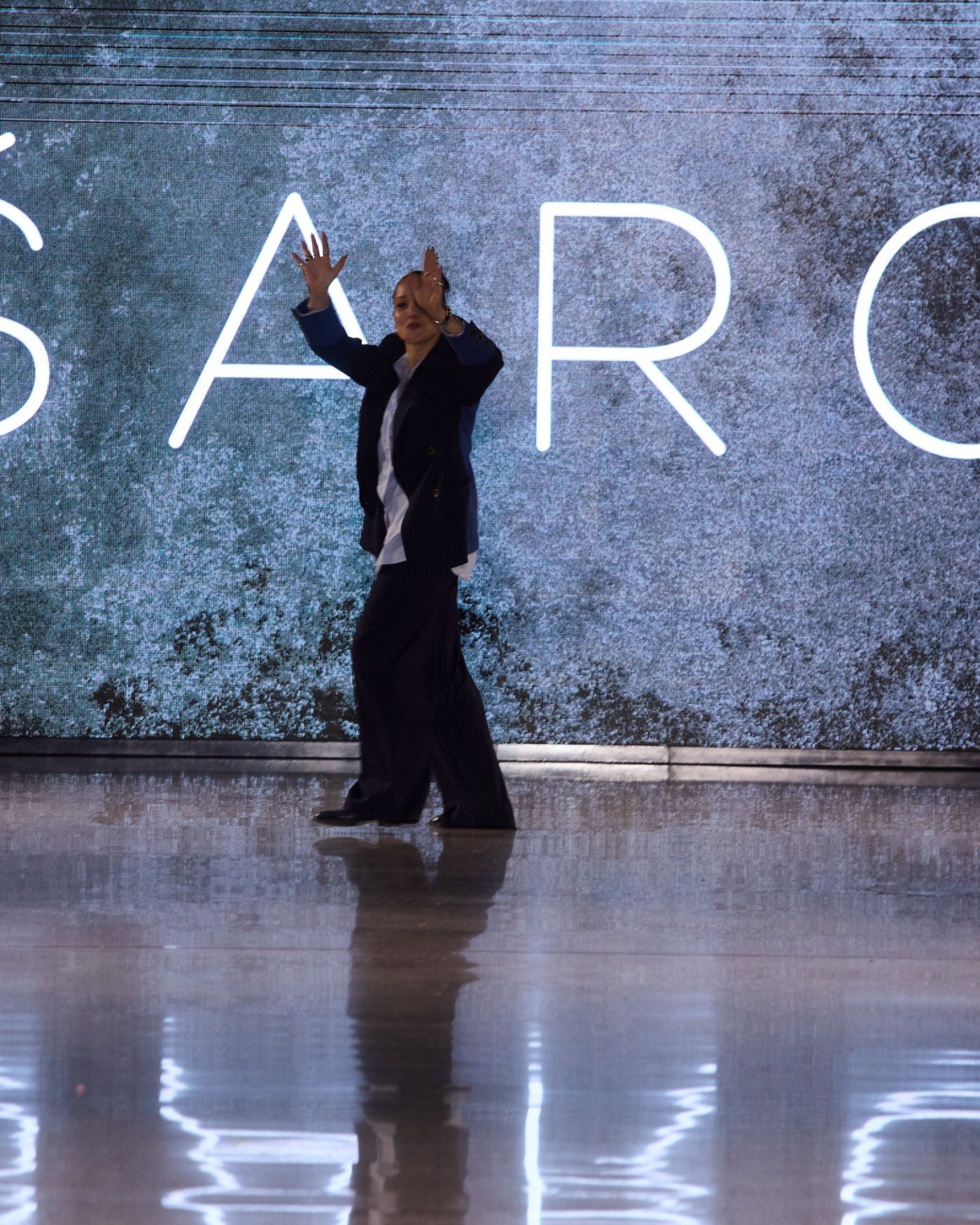 sargi projekt moderna