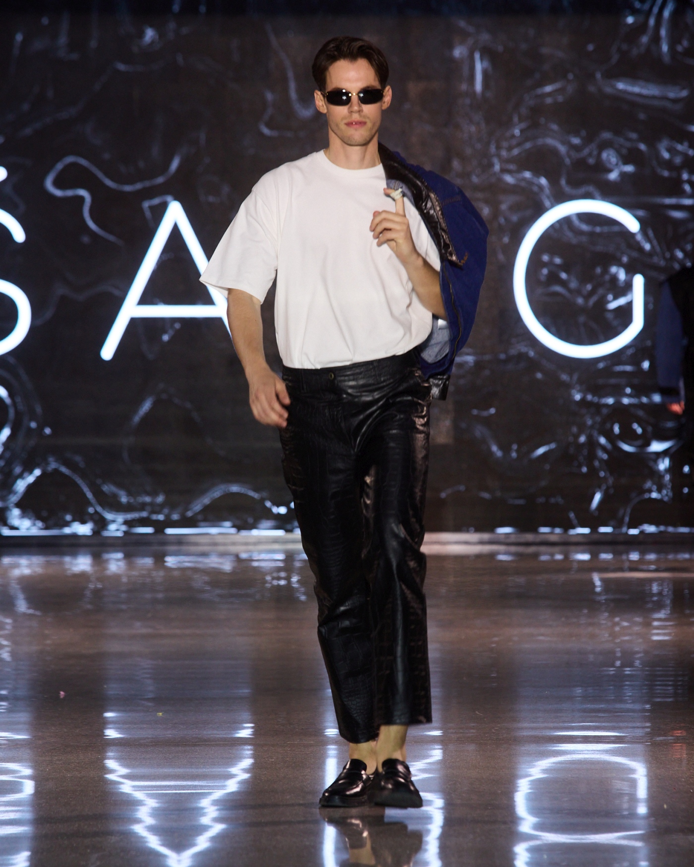 sargi projekt moderna