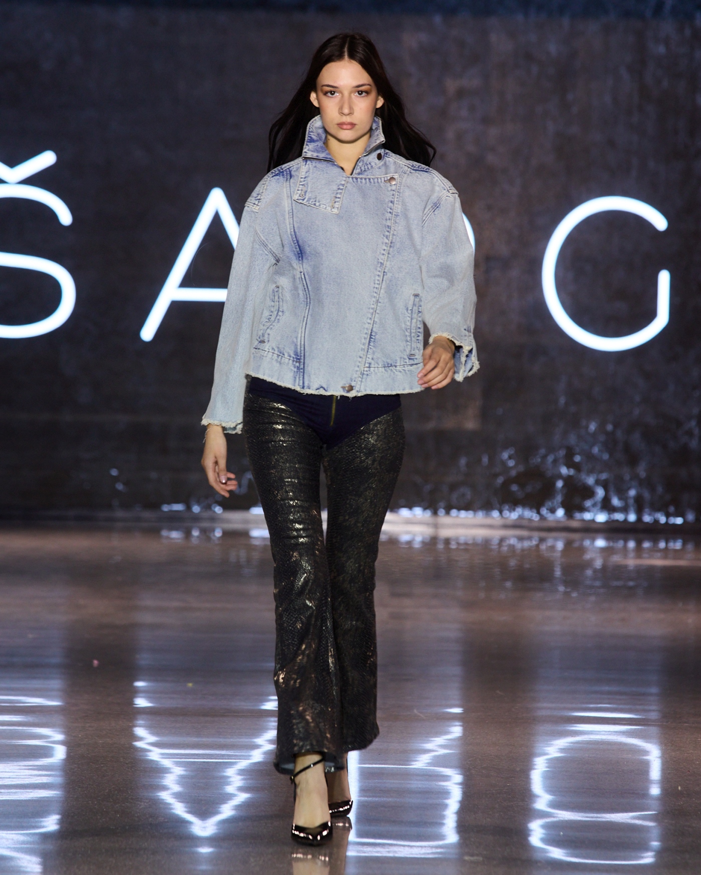 sargi projekt moderna