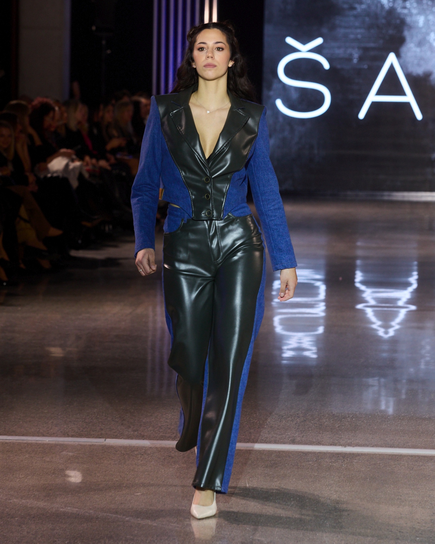 sargi projekt moderna