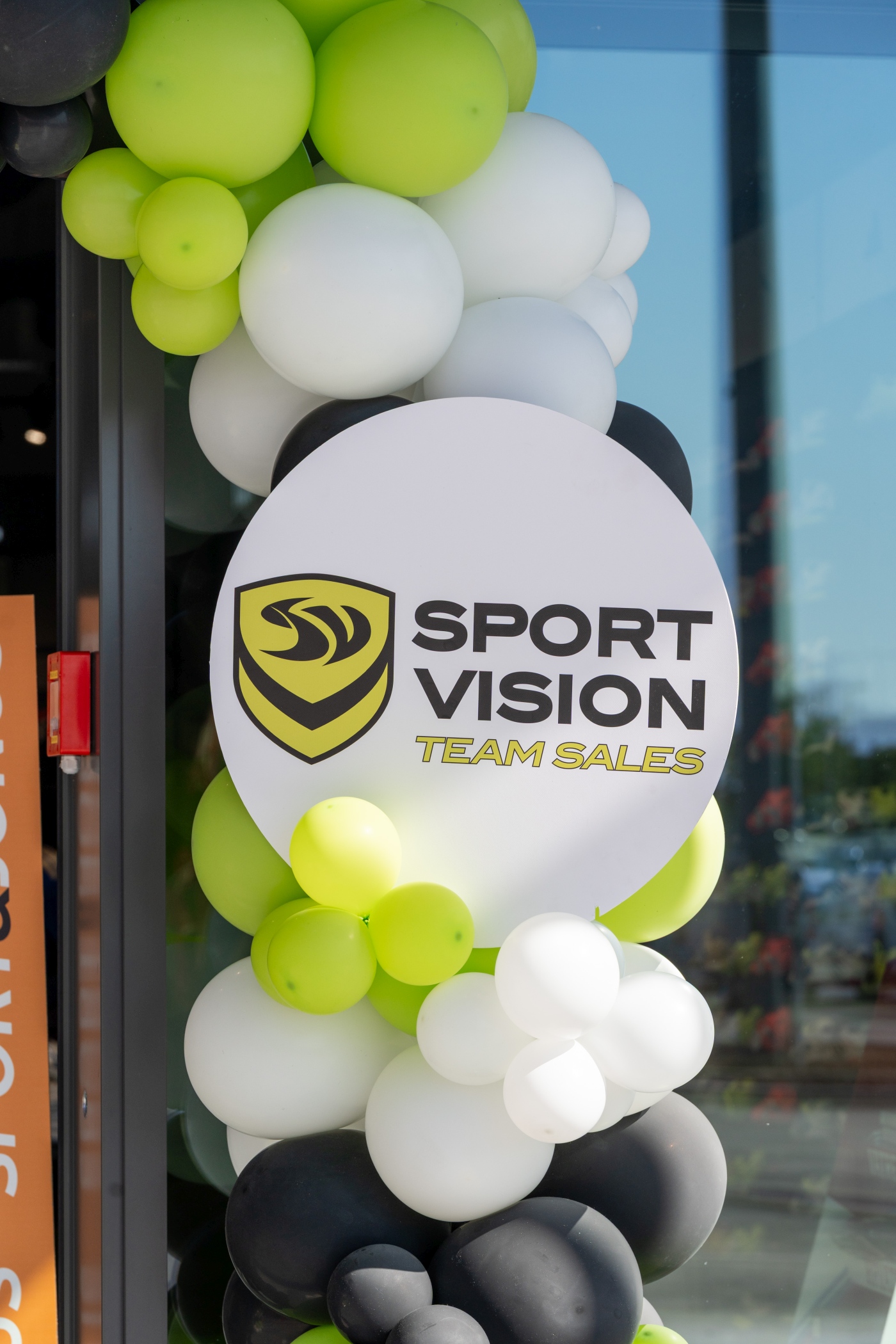 sport vision
