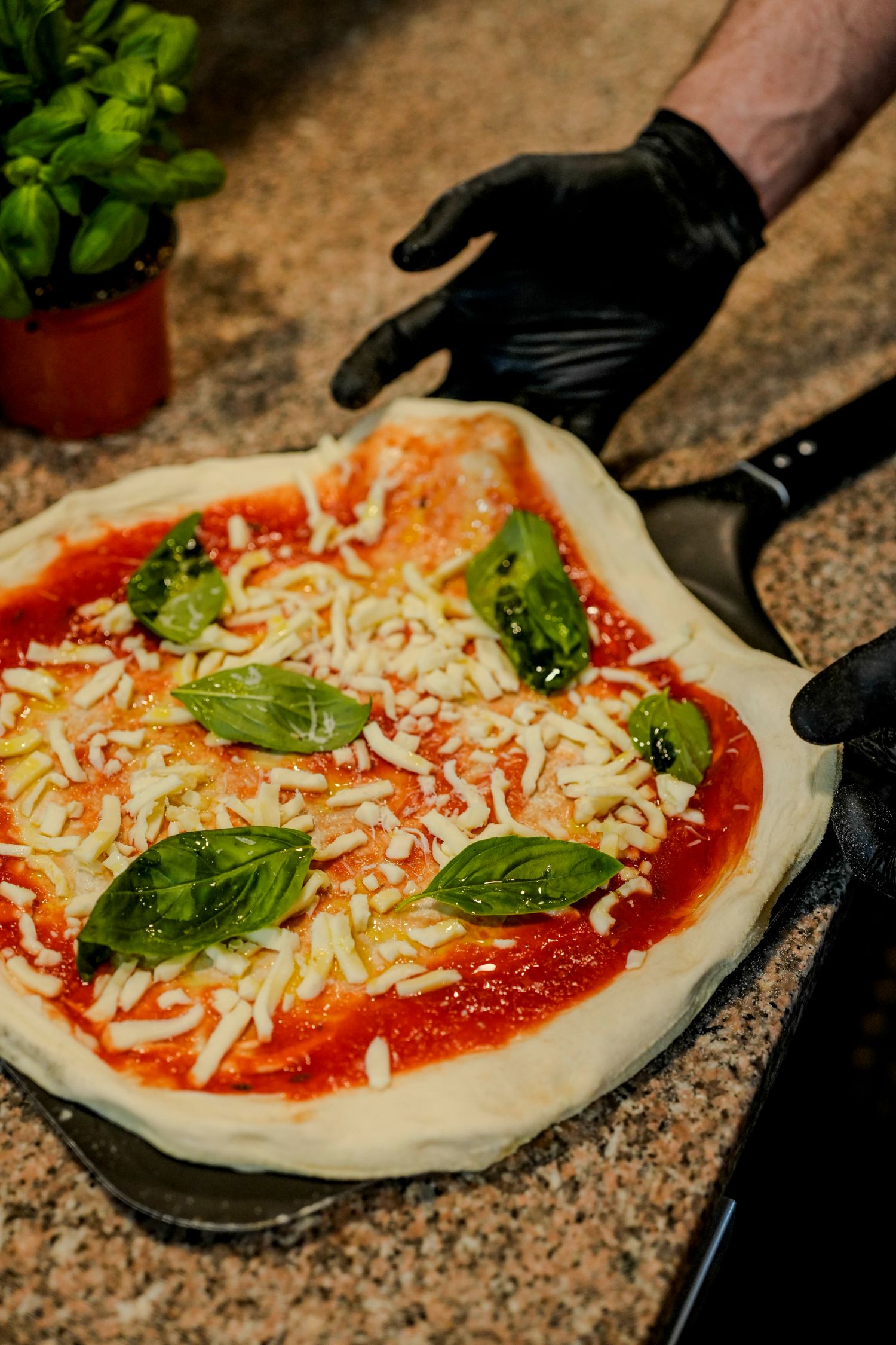 pizza