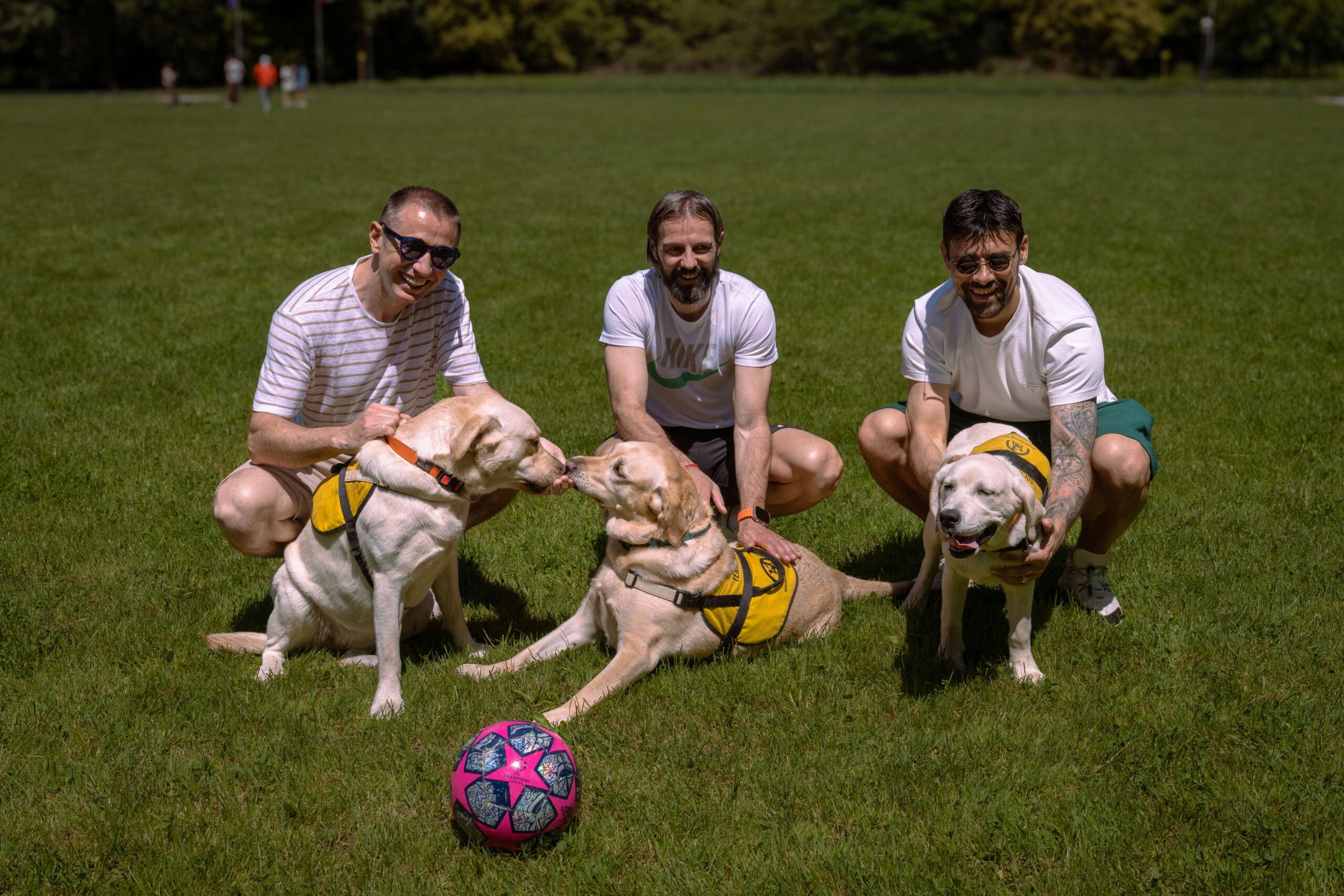 dog picnic