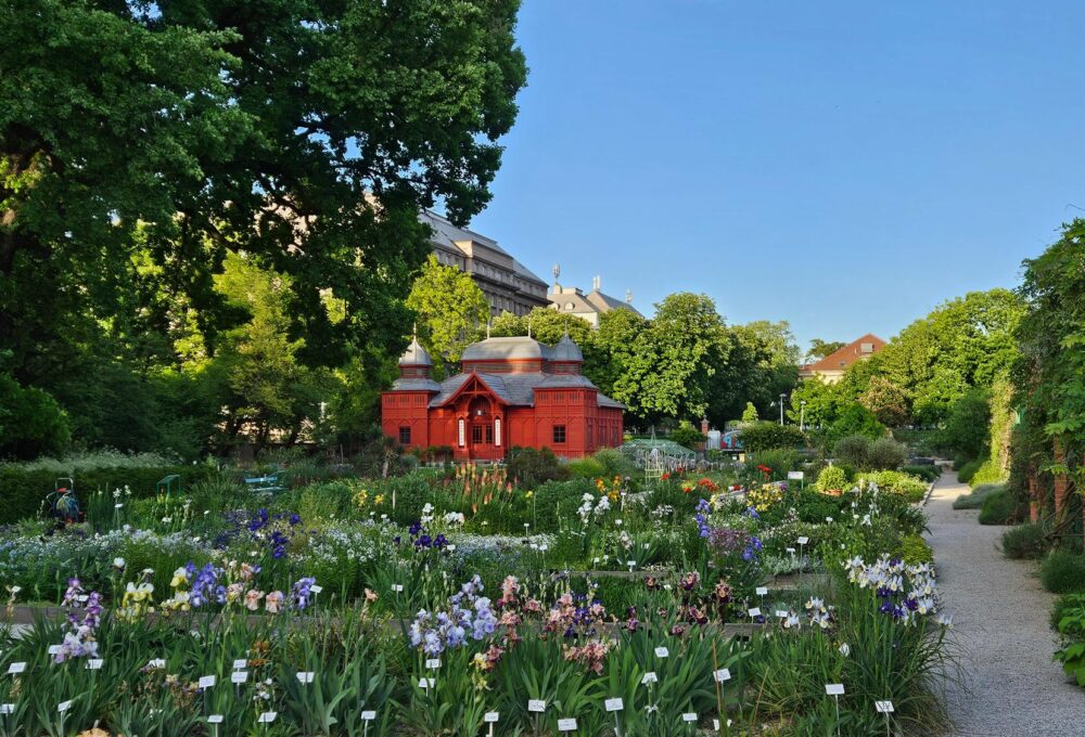 botanicki vrt