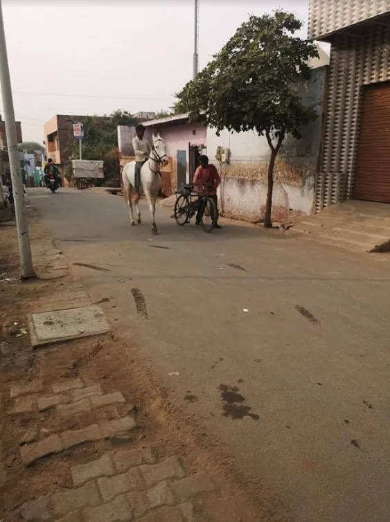 indija