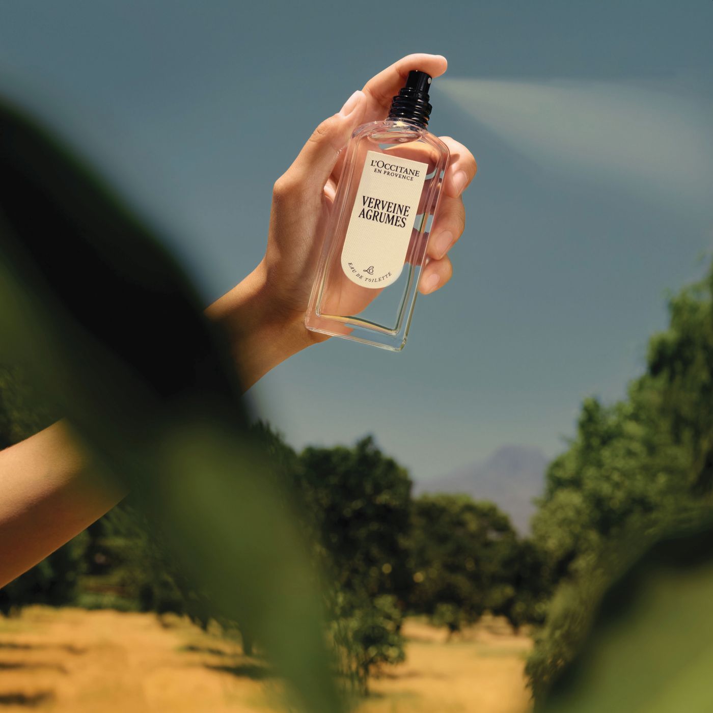 l'occitane