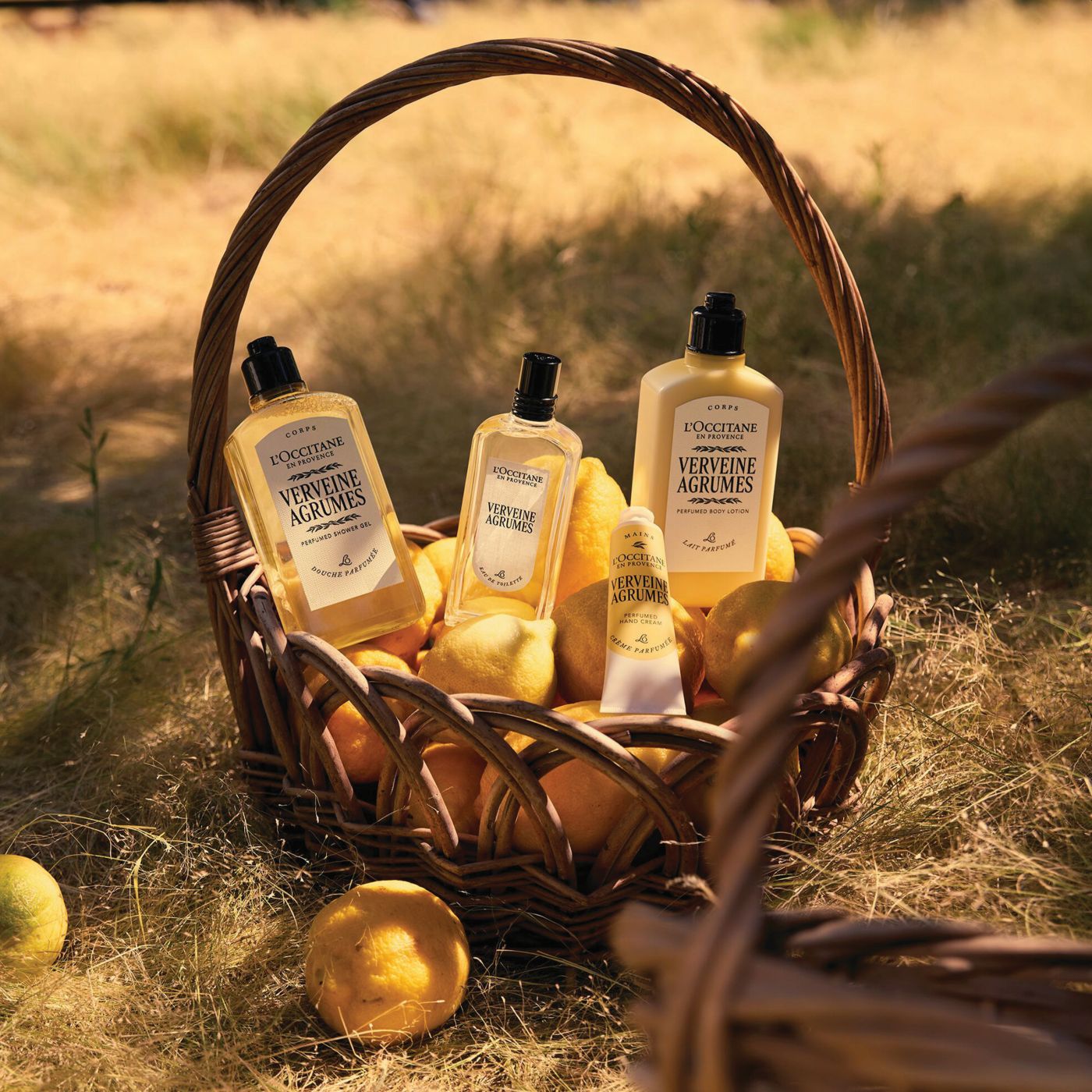 l'occitane