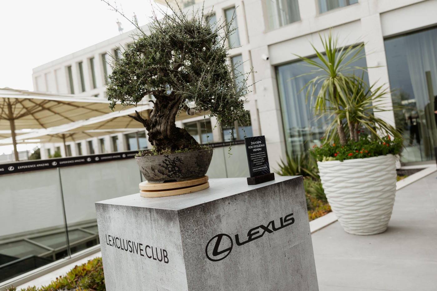 Lexus stigao u Split: večer inspirirana Japanom obilježila dolazak luksuznog brenda u Dalmaciju 