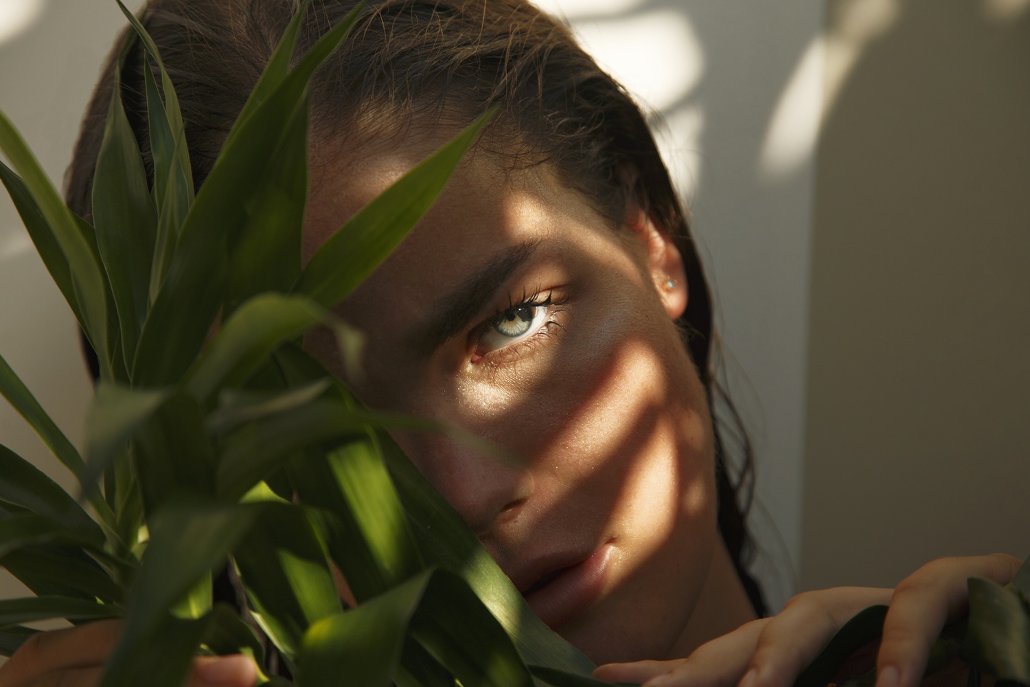 ivana prkačin
