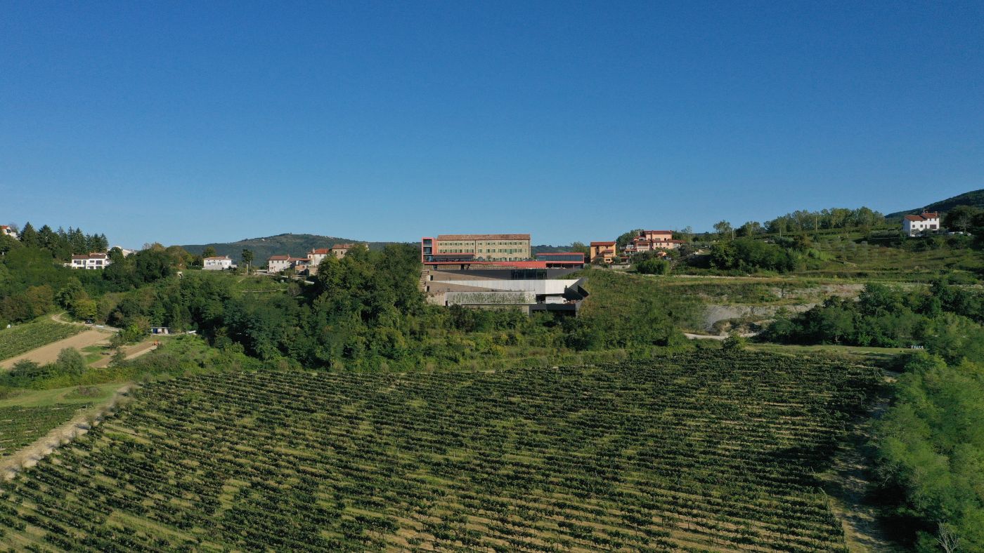 vinarija istra rožanić