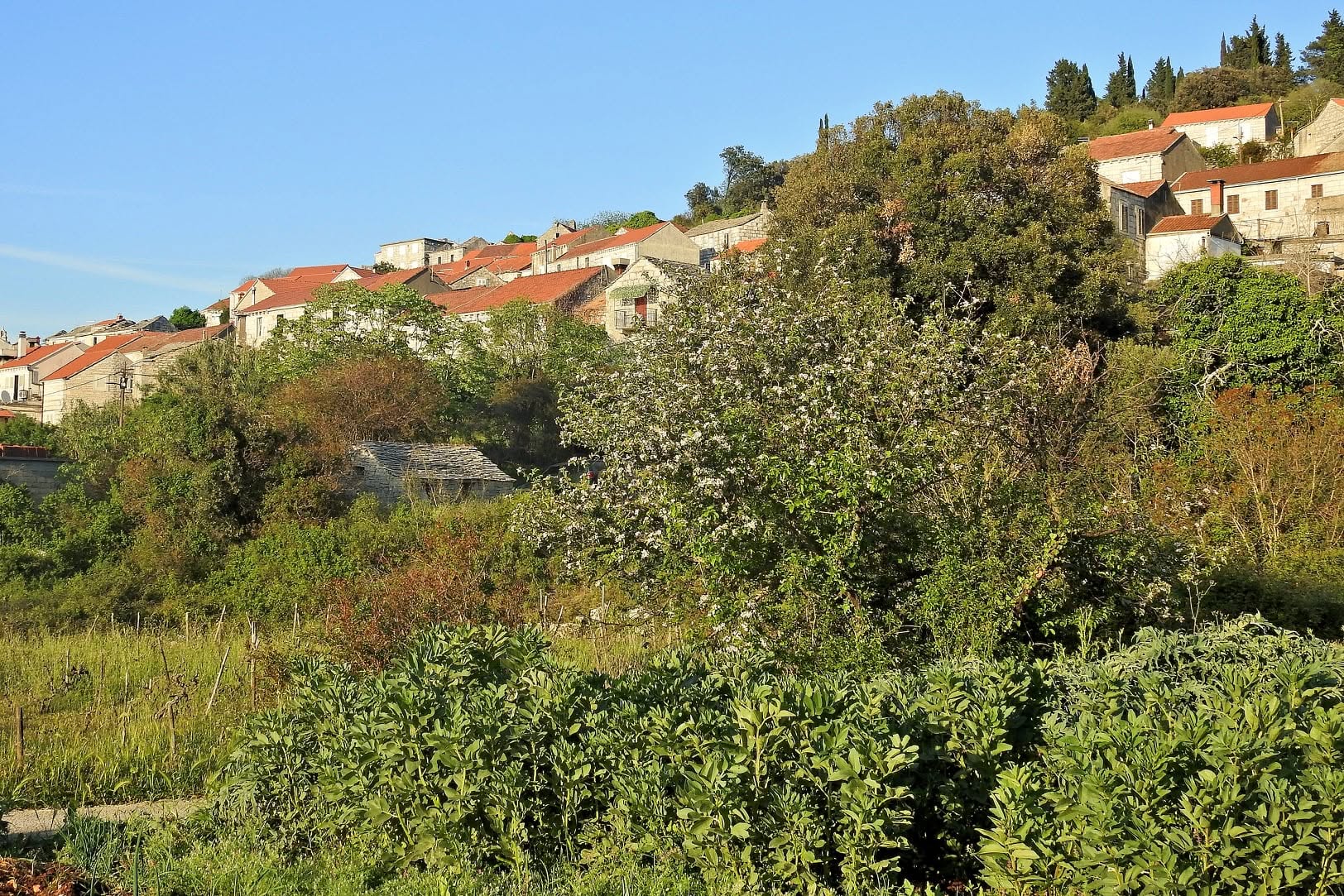 korčula