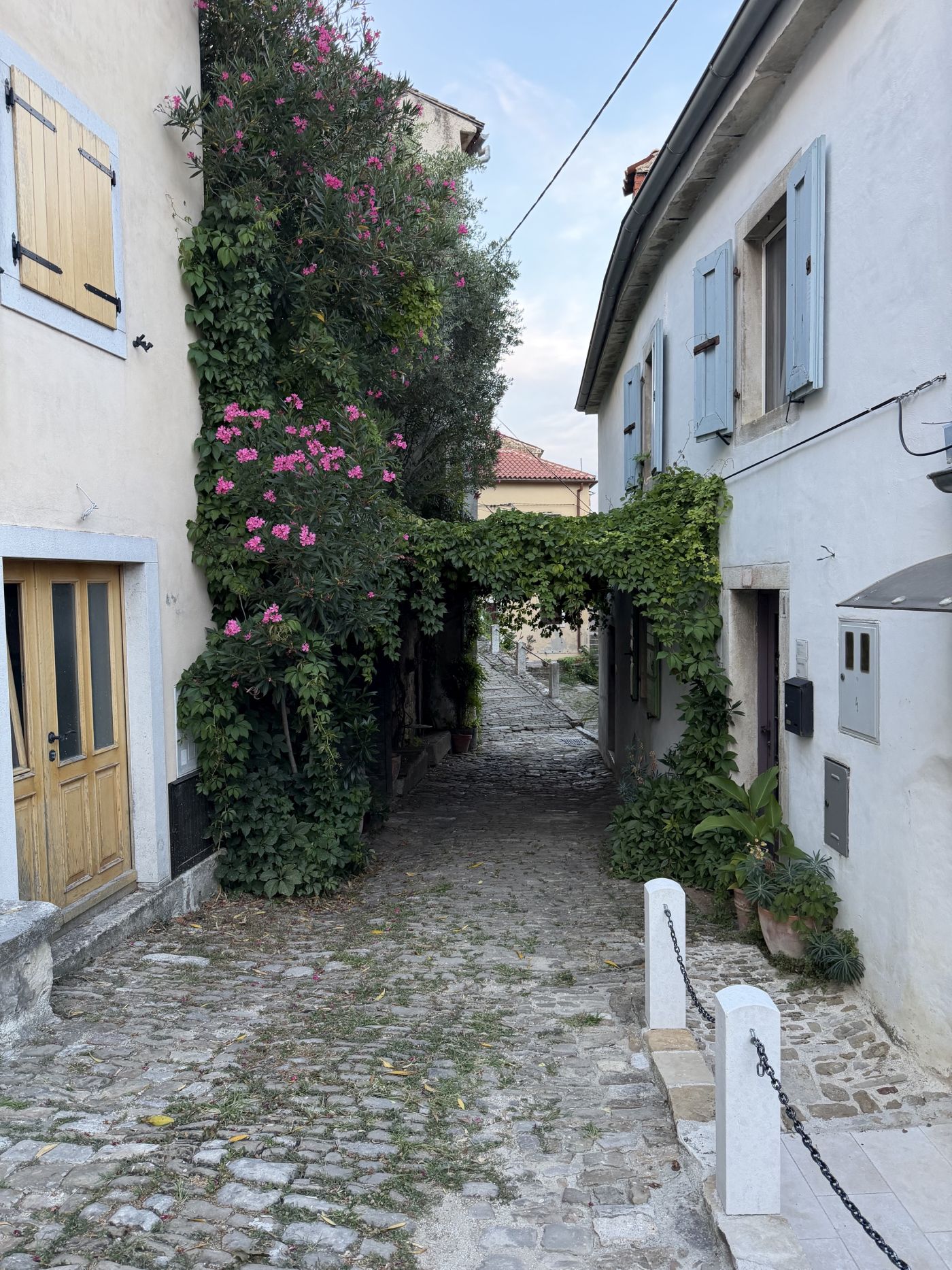 Motovun