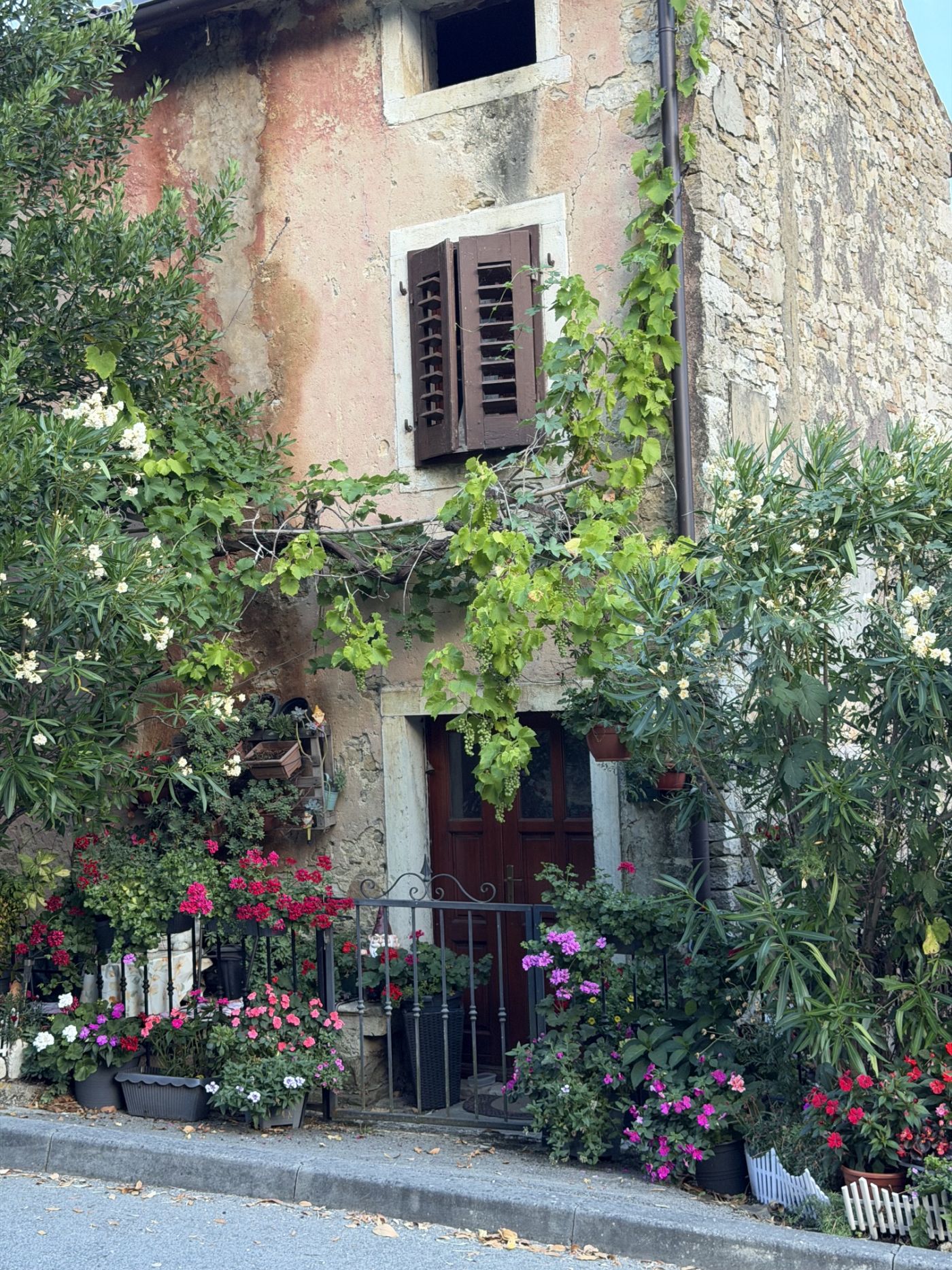 Motovun