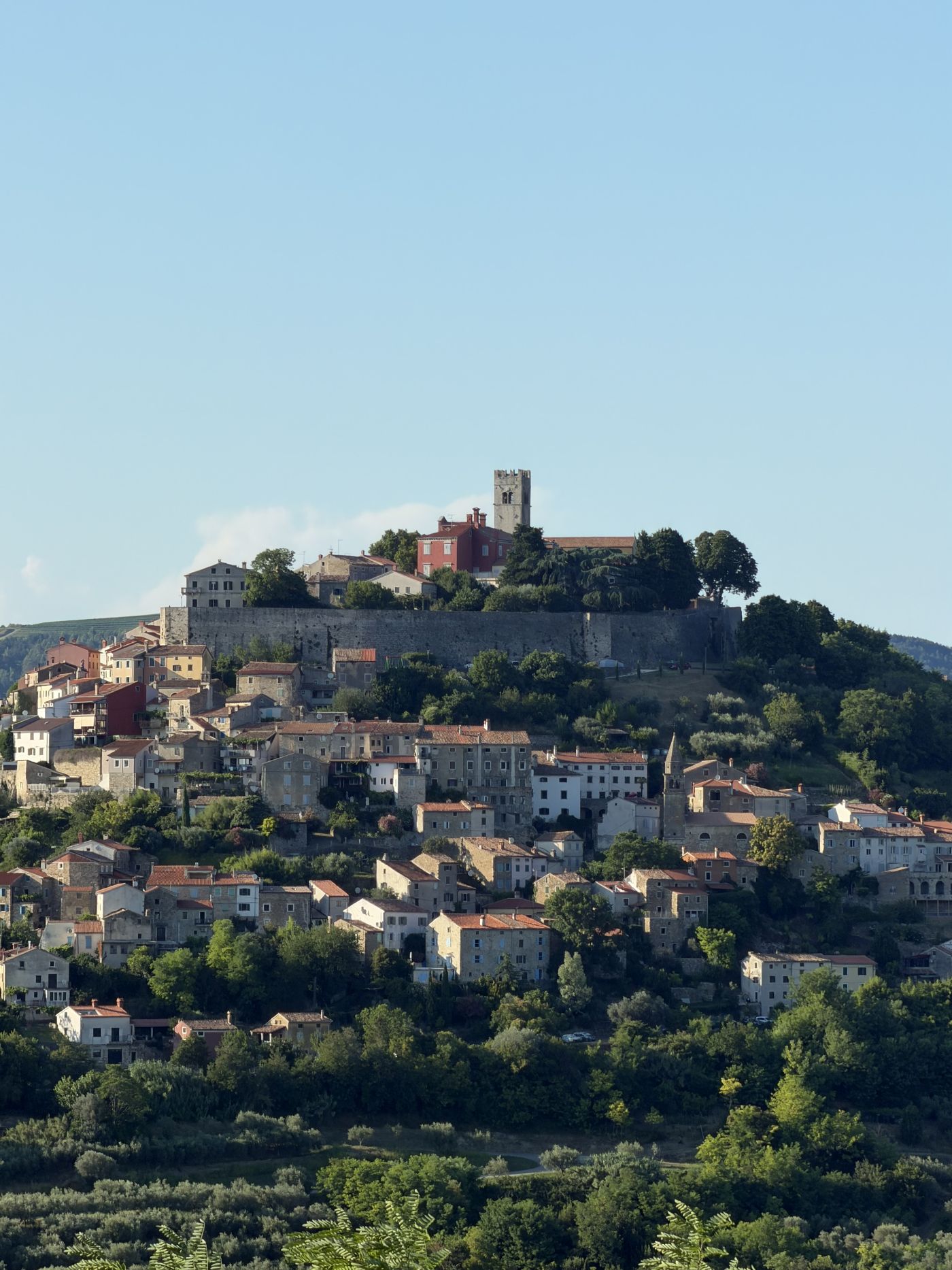 Motovun