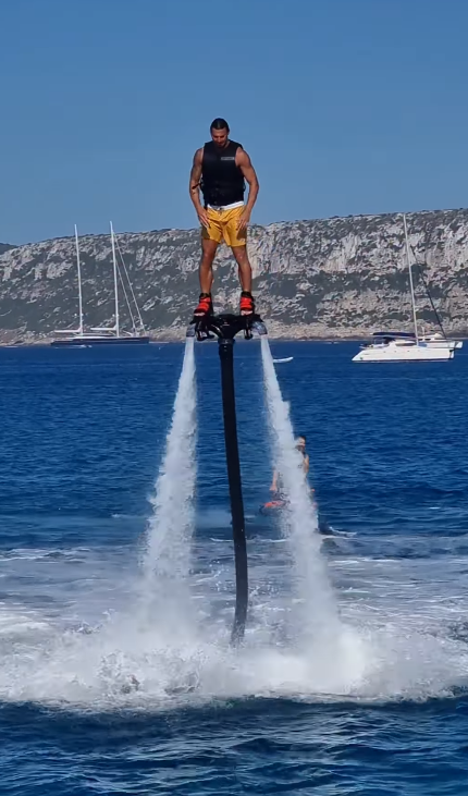 zlatan ibrahimović