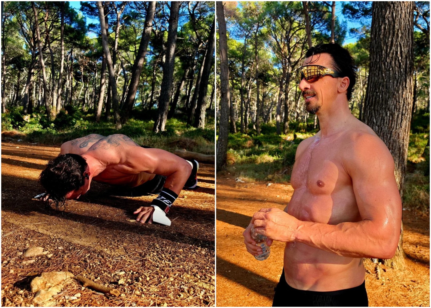 Zlatan Ibrahimović