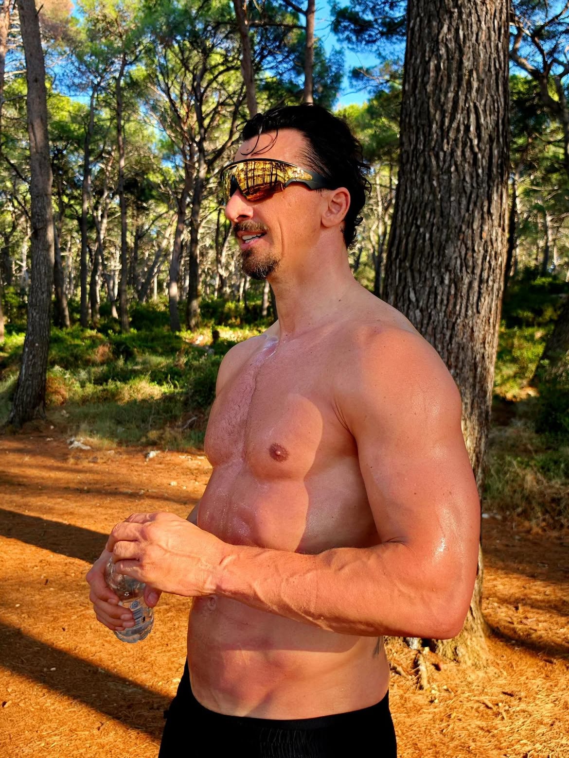 Zlatan Ibrahimović