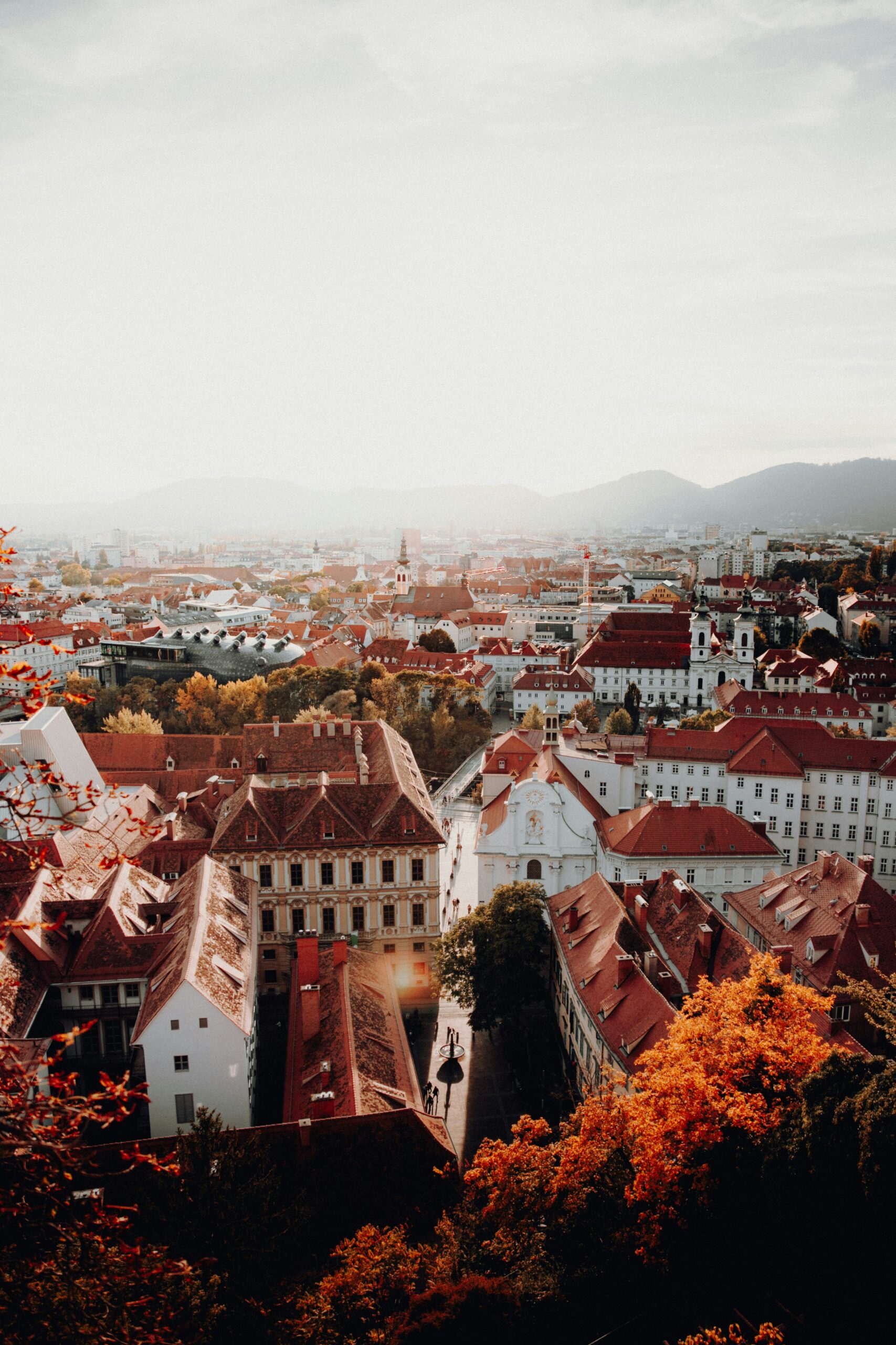 Photo by Daniel J. Schwarz on Unsplash 